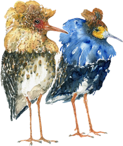 Watercolor by Frits Ahlefeldt