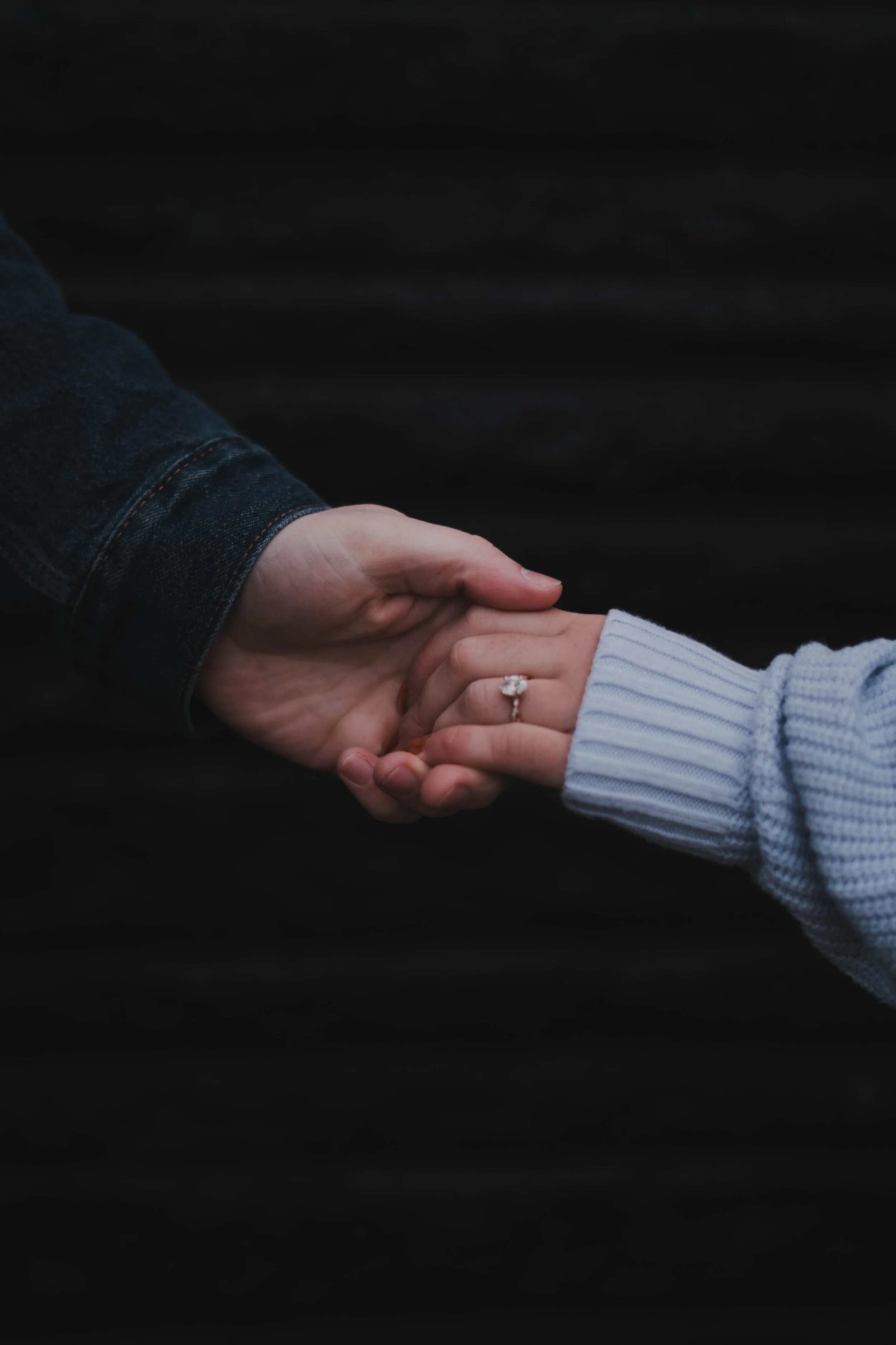 Engagement Session at Matthaei Botanical Gardens