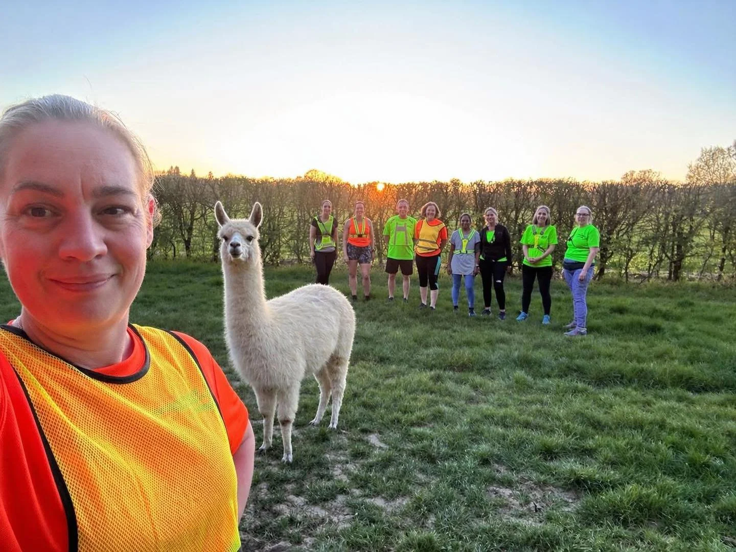 Unexpected running buddy 🦙😂

Even the locals want to join B2R!

Who knew our club was THIS popular?!

#RunClubFun #UnexpectedFriends #B2R