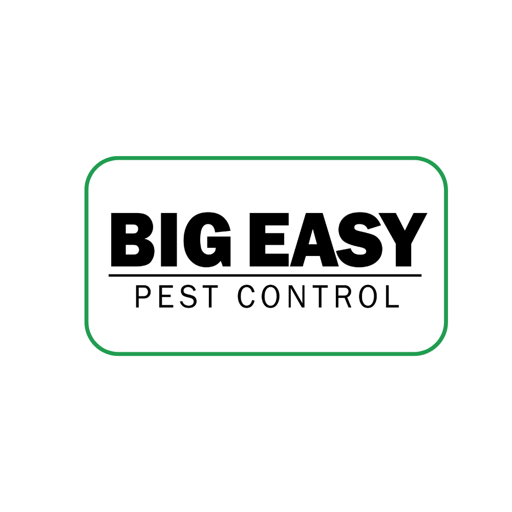 The Big Easy Warranty: Pest Control You Can Count On
