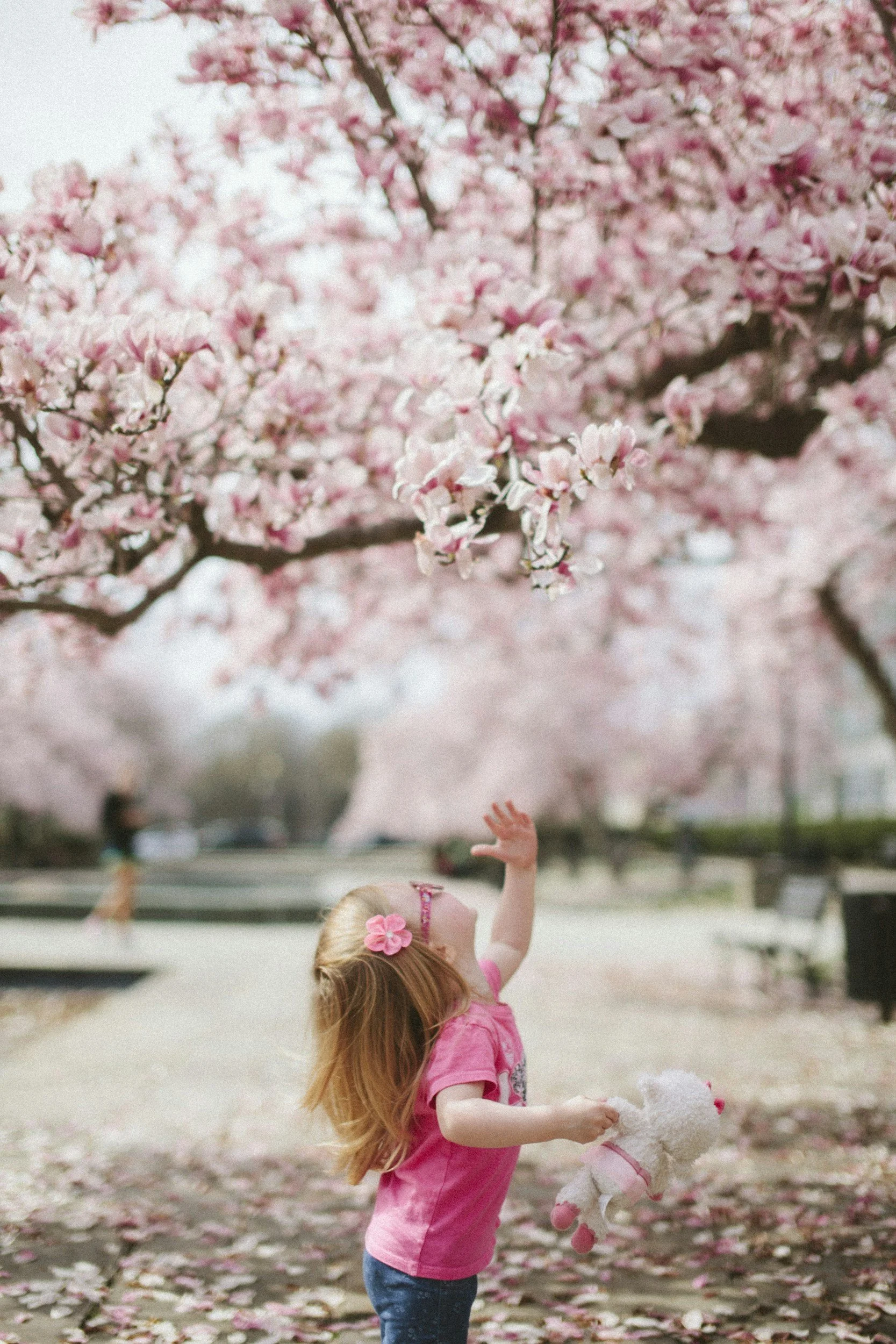 A young girl with long red hair, wearing a pink shirt and blue jeans, stands under blooming pink cherry blossom trees in a park, reaching up toward the flowers and holding a stuffed animal.
