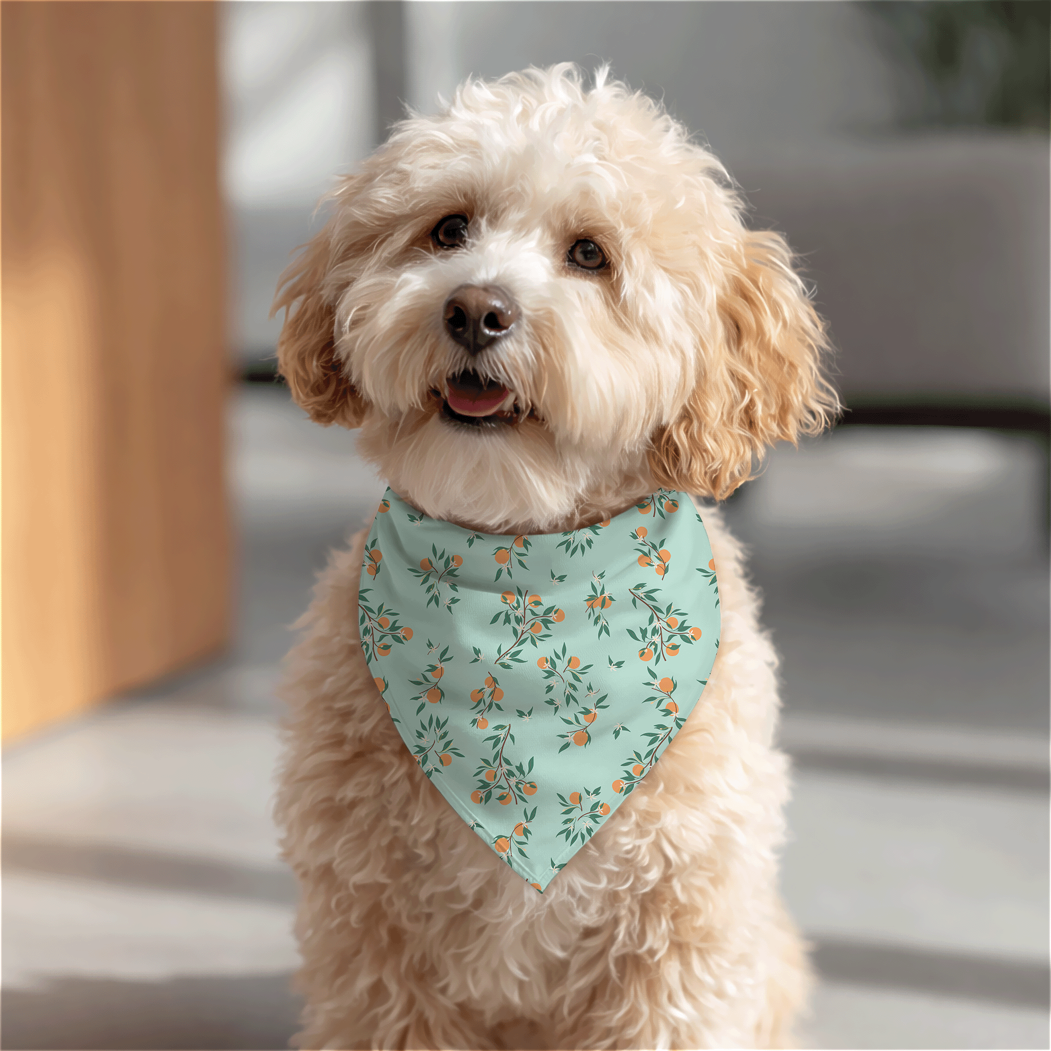 Small fluffy dog wearing a mint green bandana with delicate citrus branch surface pattern design.