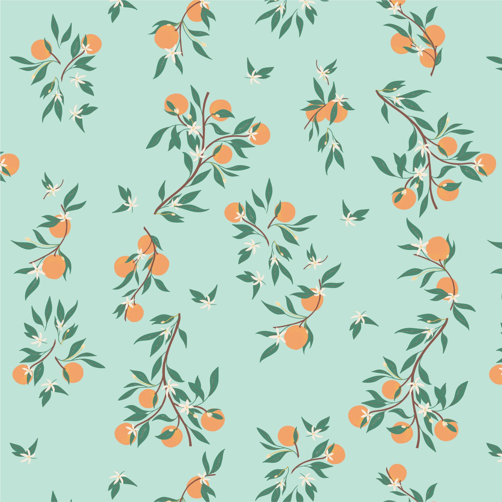 72dpi_SaltAirCitrus_CWA_RGB_24x24_190p.jpg