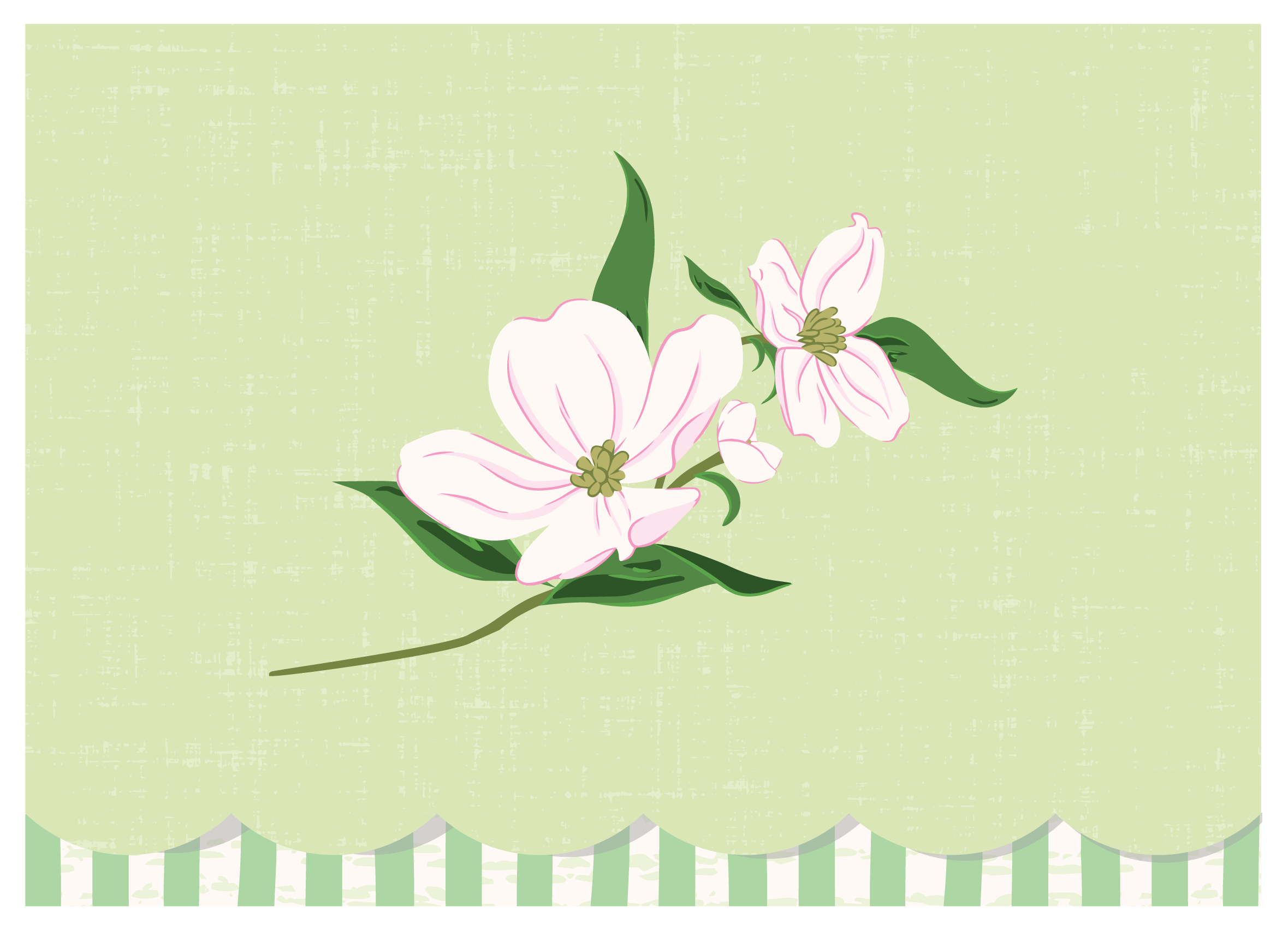 Folded note card front featuring a dogwood blossom illustration, soft green textured background, scalloped lower edge, and green striped trim.