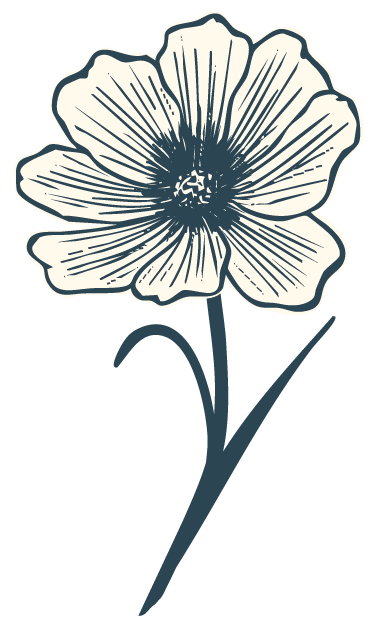 line drawing of a flower and stem