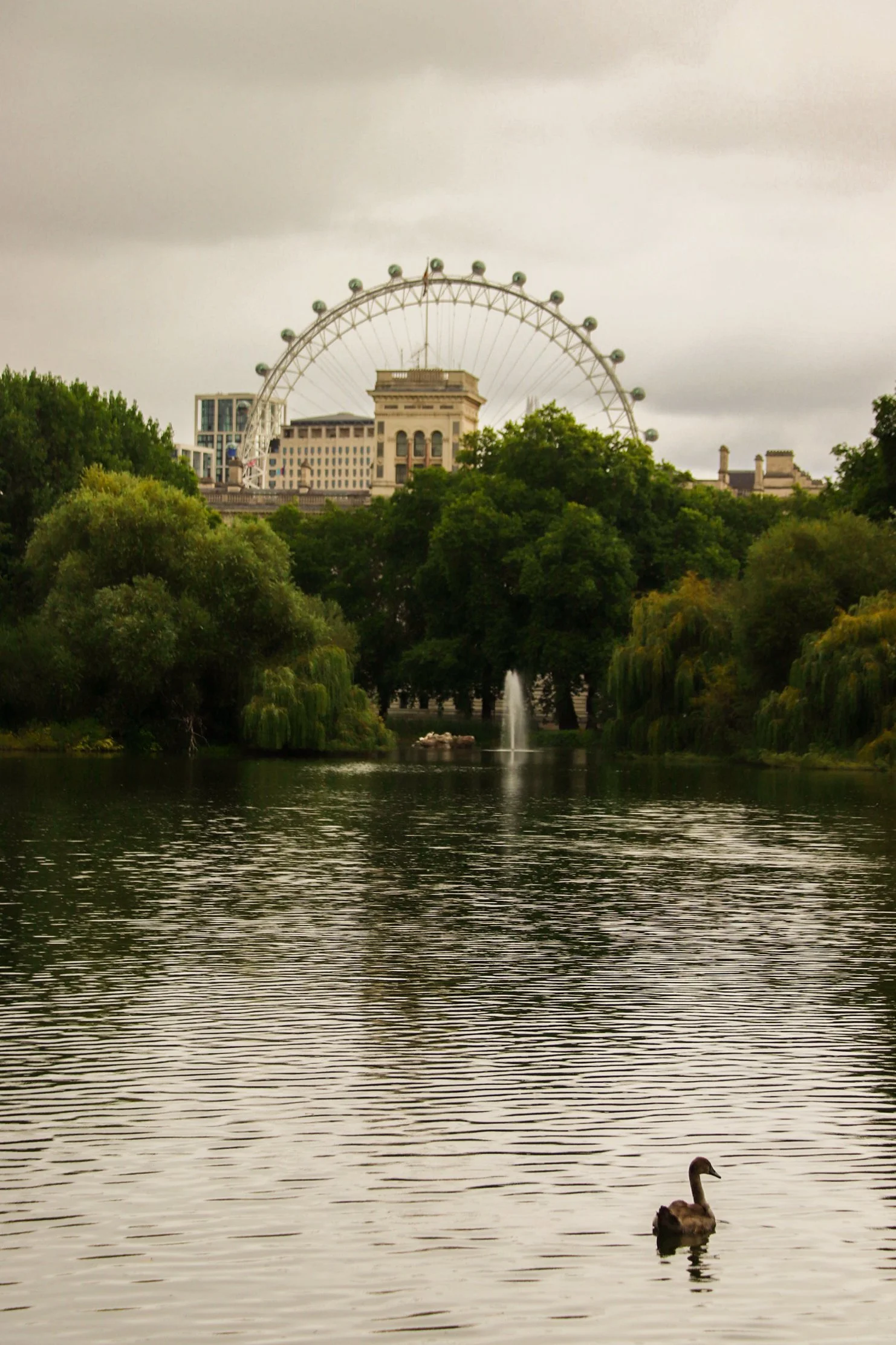 A lake with a duck swimming in the foreground, surrounded by trees, with a fountain in the middle of the lake, and a Ferris wheel and tall buildings behind the trees under a cloudy sky.