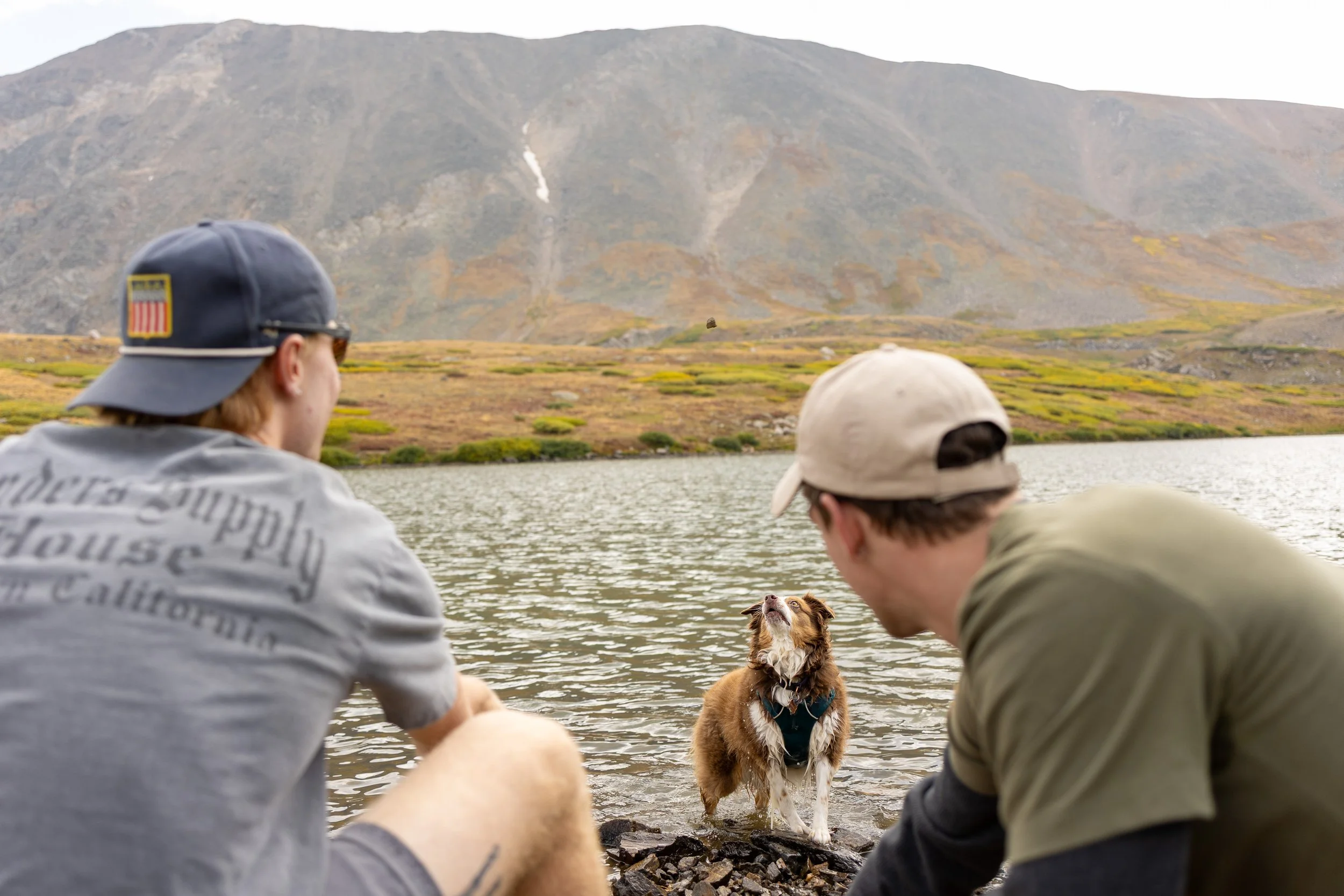 Two young men sitting by a lake in a mountainous area with a brown and white dog standing shoreline with mountains in the background.