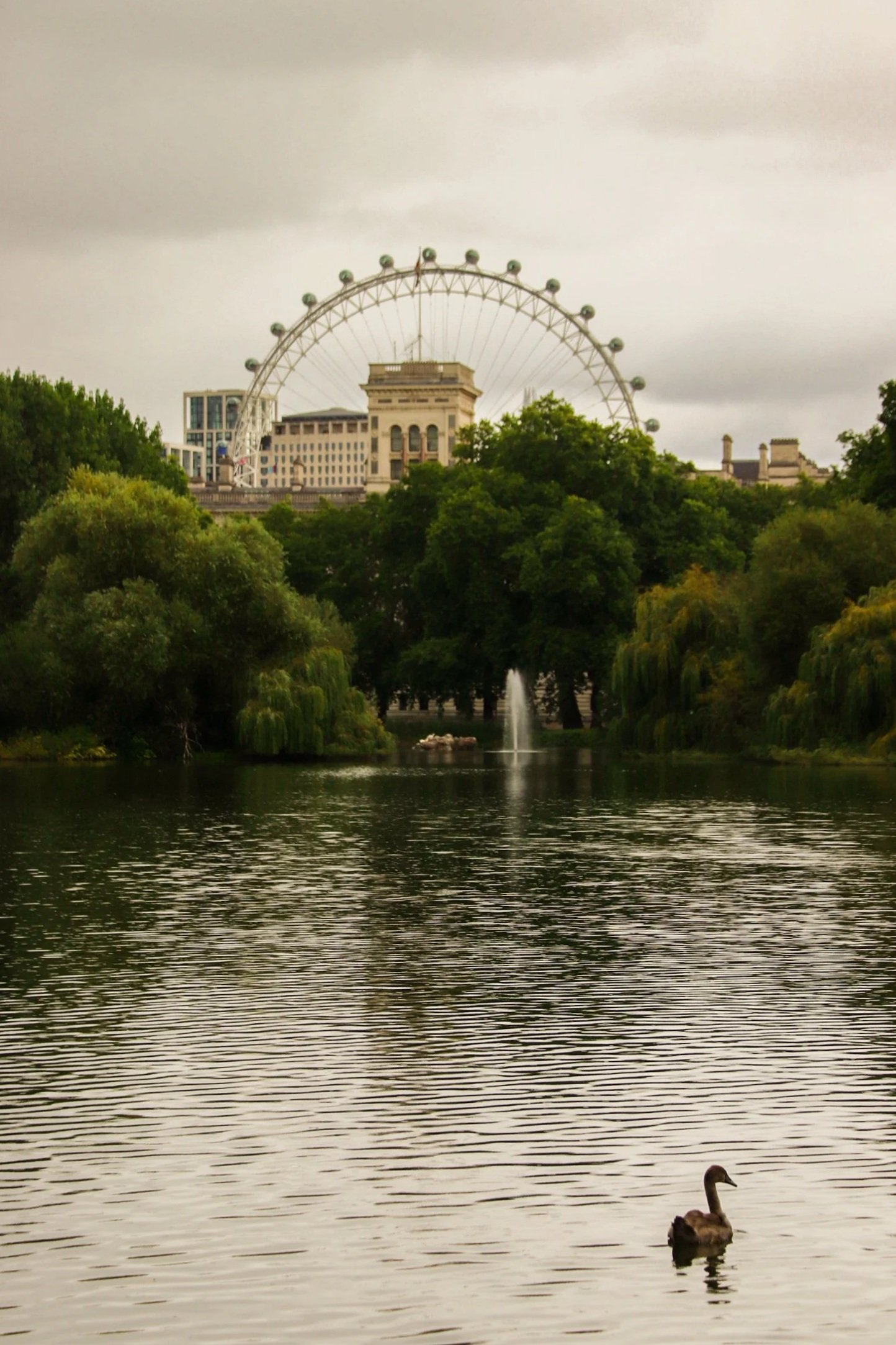 A lake with a lone duck swimming, surrounded by trees, with a cityscape and large Ferris wheel in the background under an overcast sky.