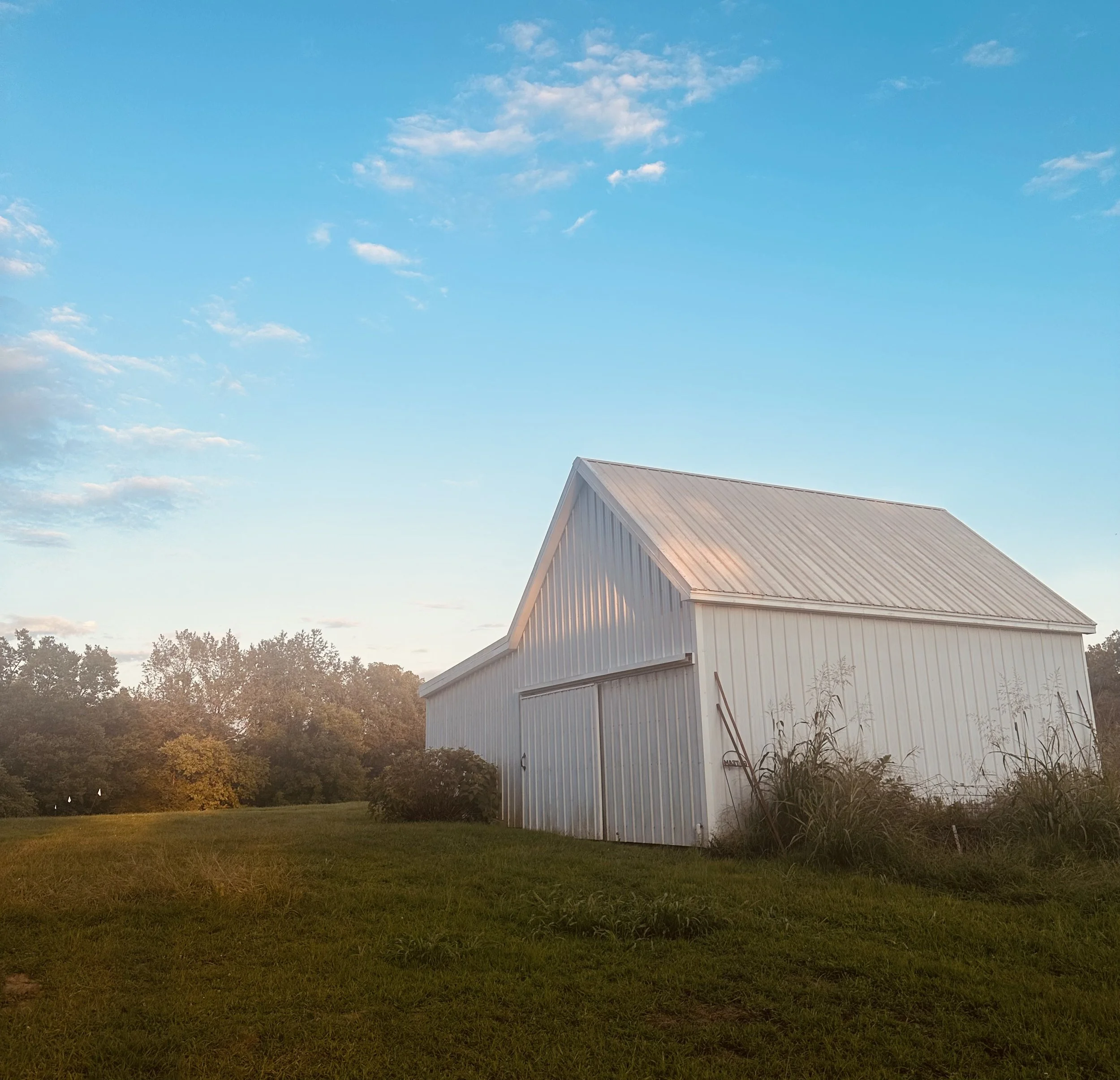 She Reads Truth: Acts Re-Post