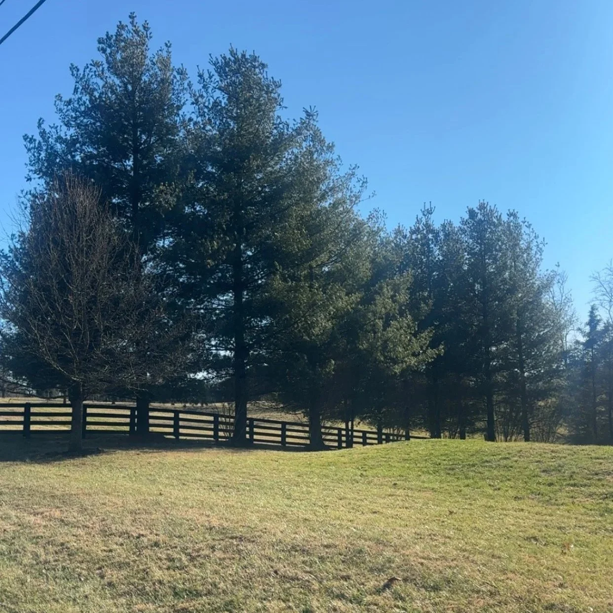 Adoring God: A 3-Step Valentine’s Prayer Guide