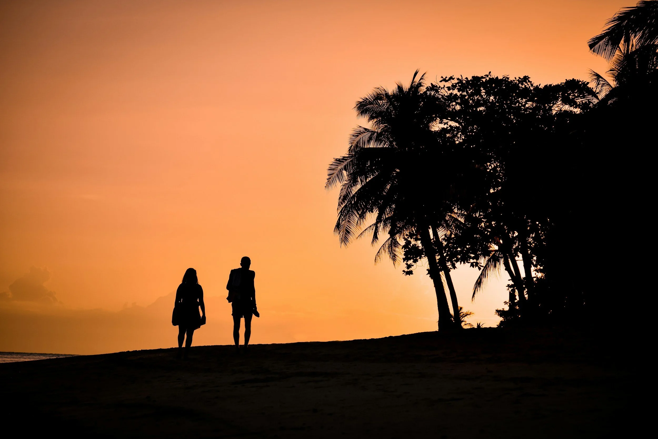 Silhouettes of a man and woman walking along a beach at sunset, with palm trees and a colorful sky in the background.