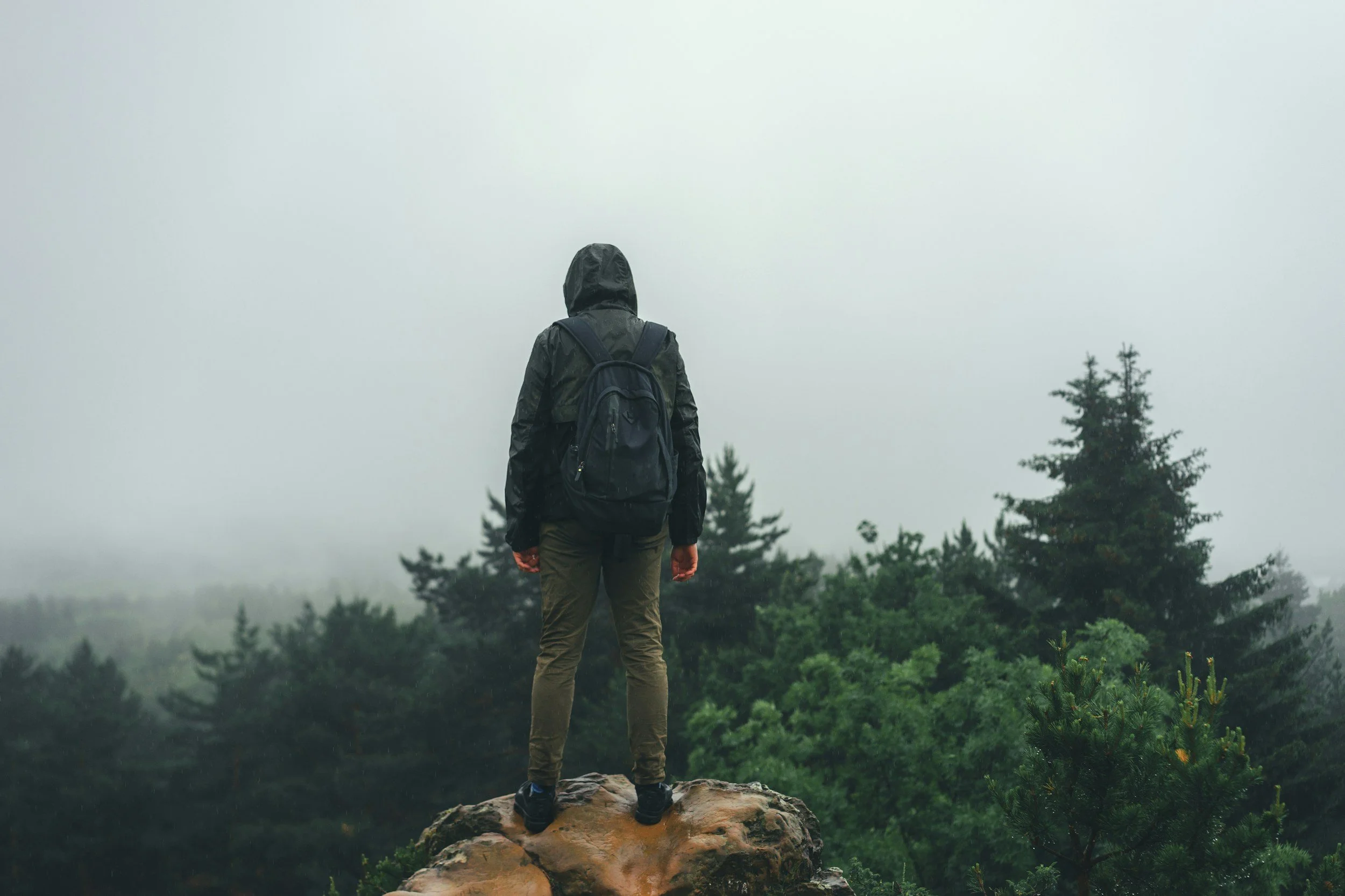 Person in a dark jacket and backpack standing on a rock, overlooking misty forest with tall evergreen trees.