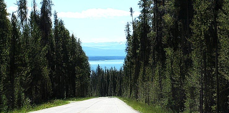 From Experience to Impact:  The Story Behind TruePointe Horizon