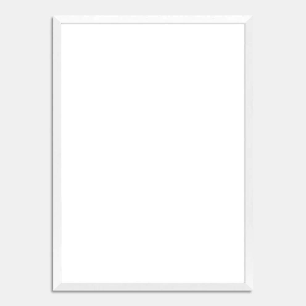 Framed-DAE-WHT.jpg