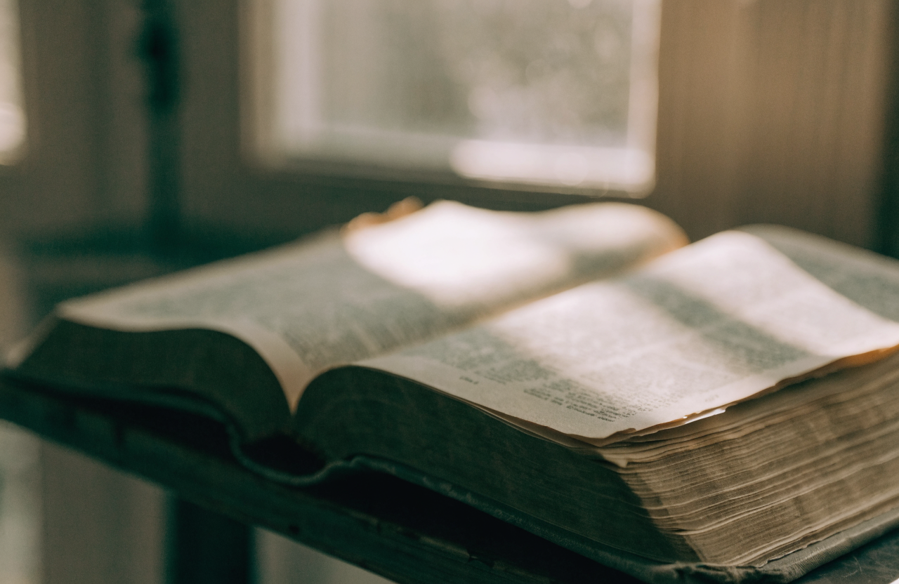 What the Psalms Actually Are