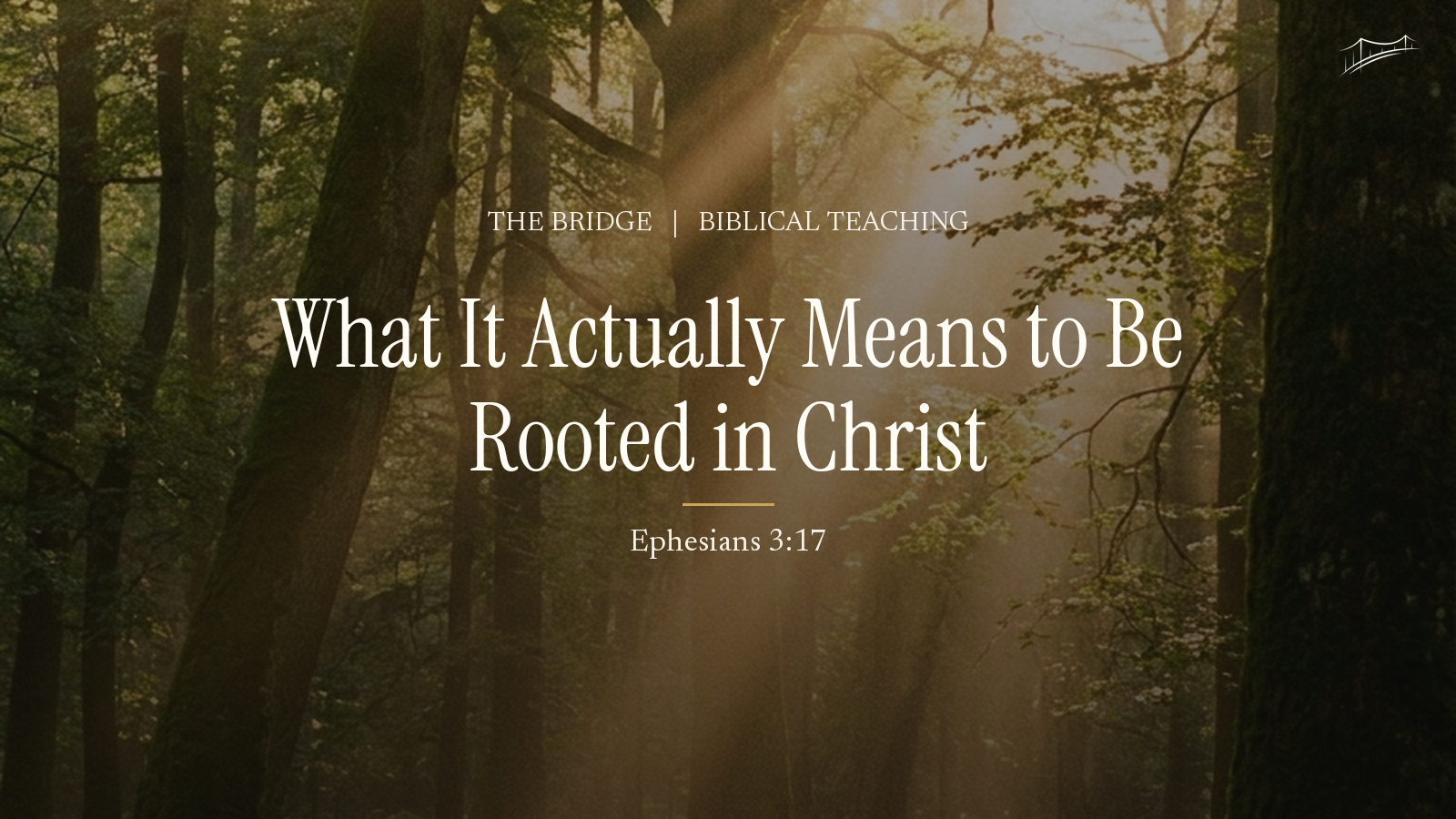 What It Actually Means to Be Rooted in Christ