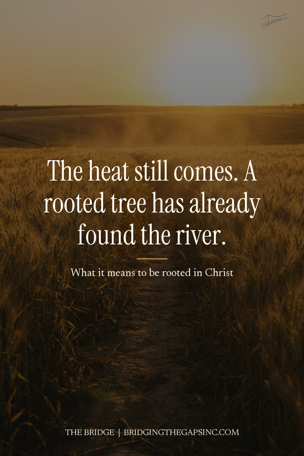 rooted in Christ quote pin, The Bridge devotional blog