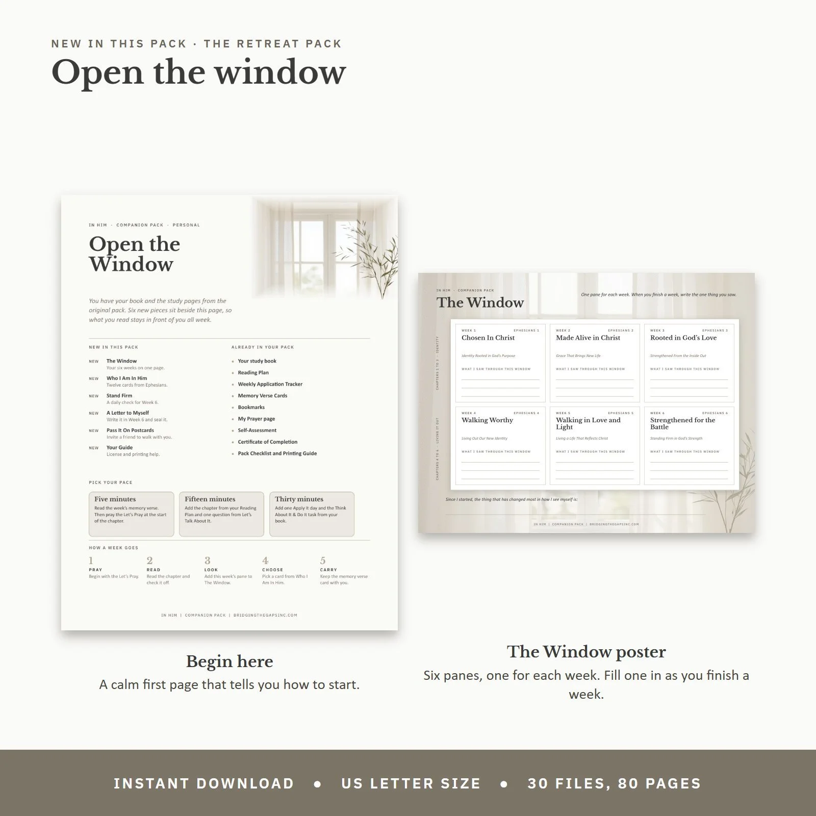 08_window.jpg