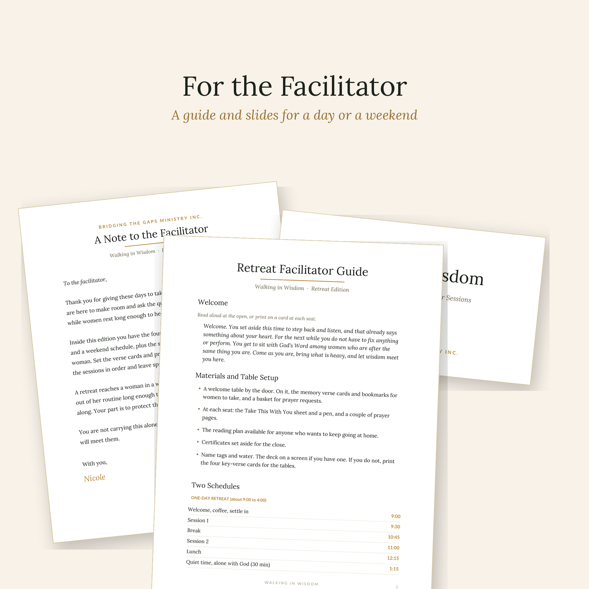 ForTheFacilitator.png