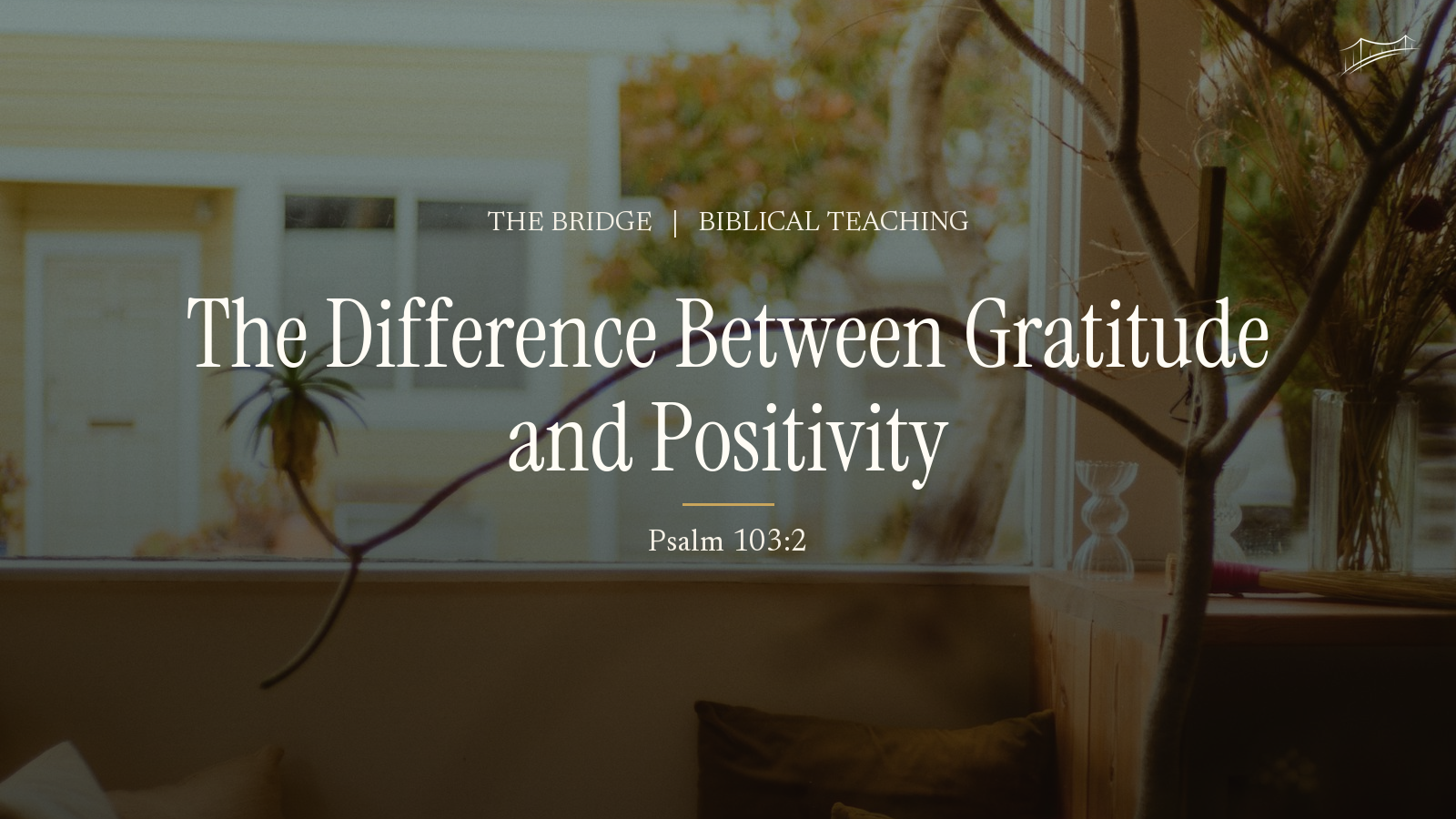 the difference between gratitude and positivity, what the Bible says about thanksgiving