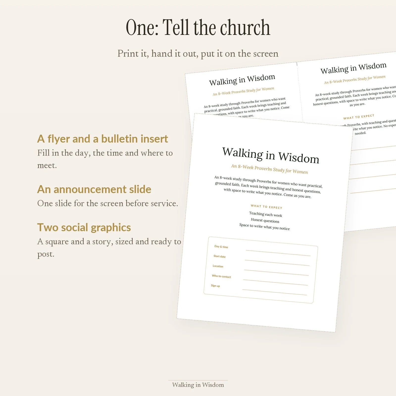 wiw_church_3_step1.jpg