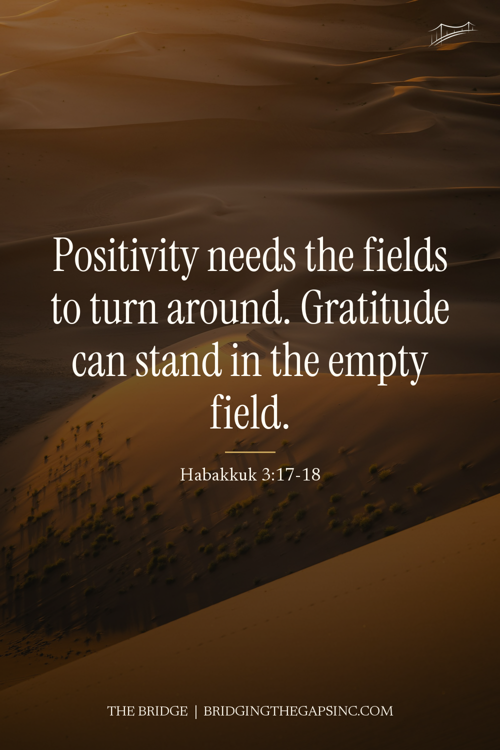 gratitude vs positivity quote pin, Habakkuk 3