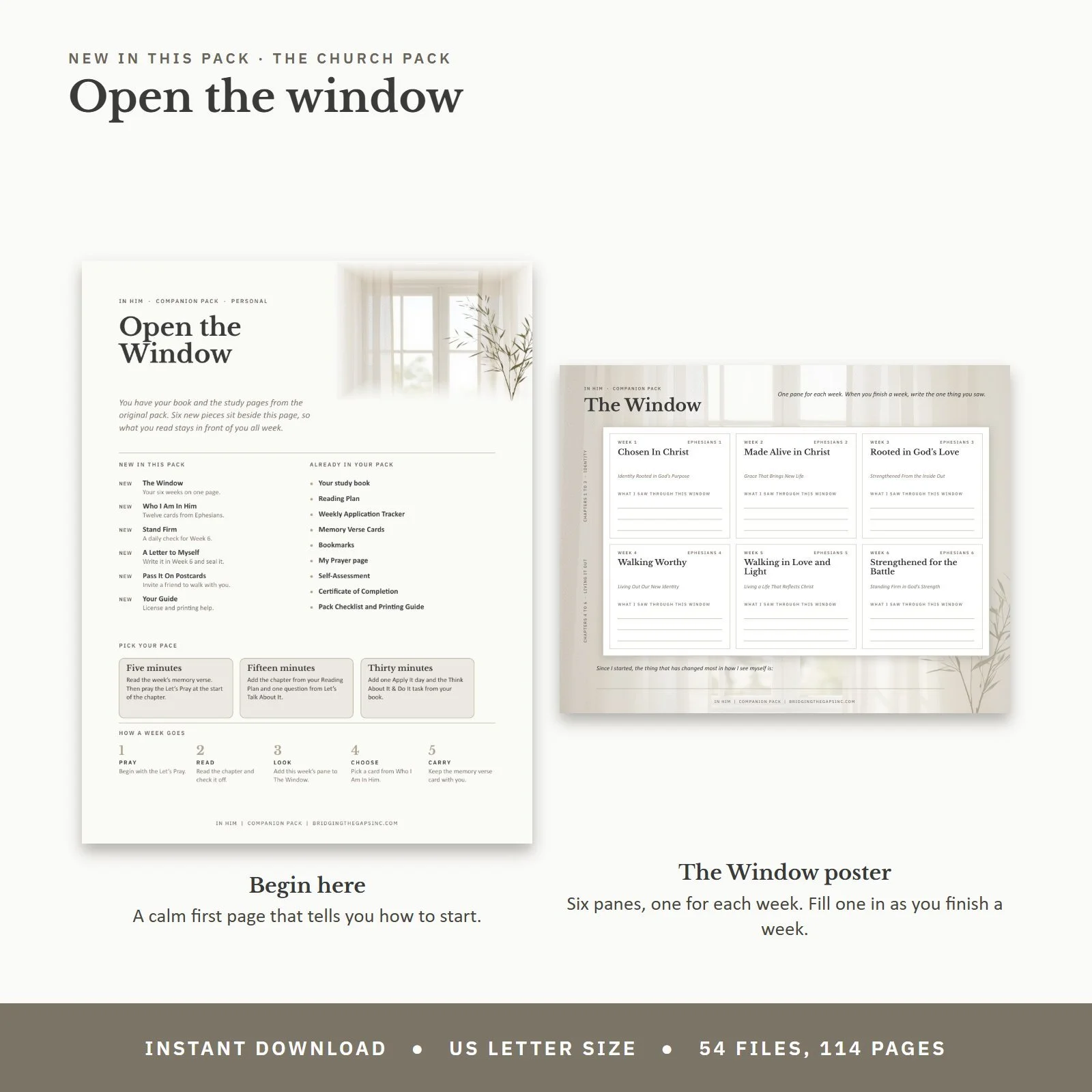 08_window.jpg