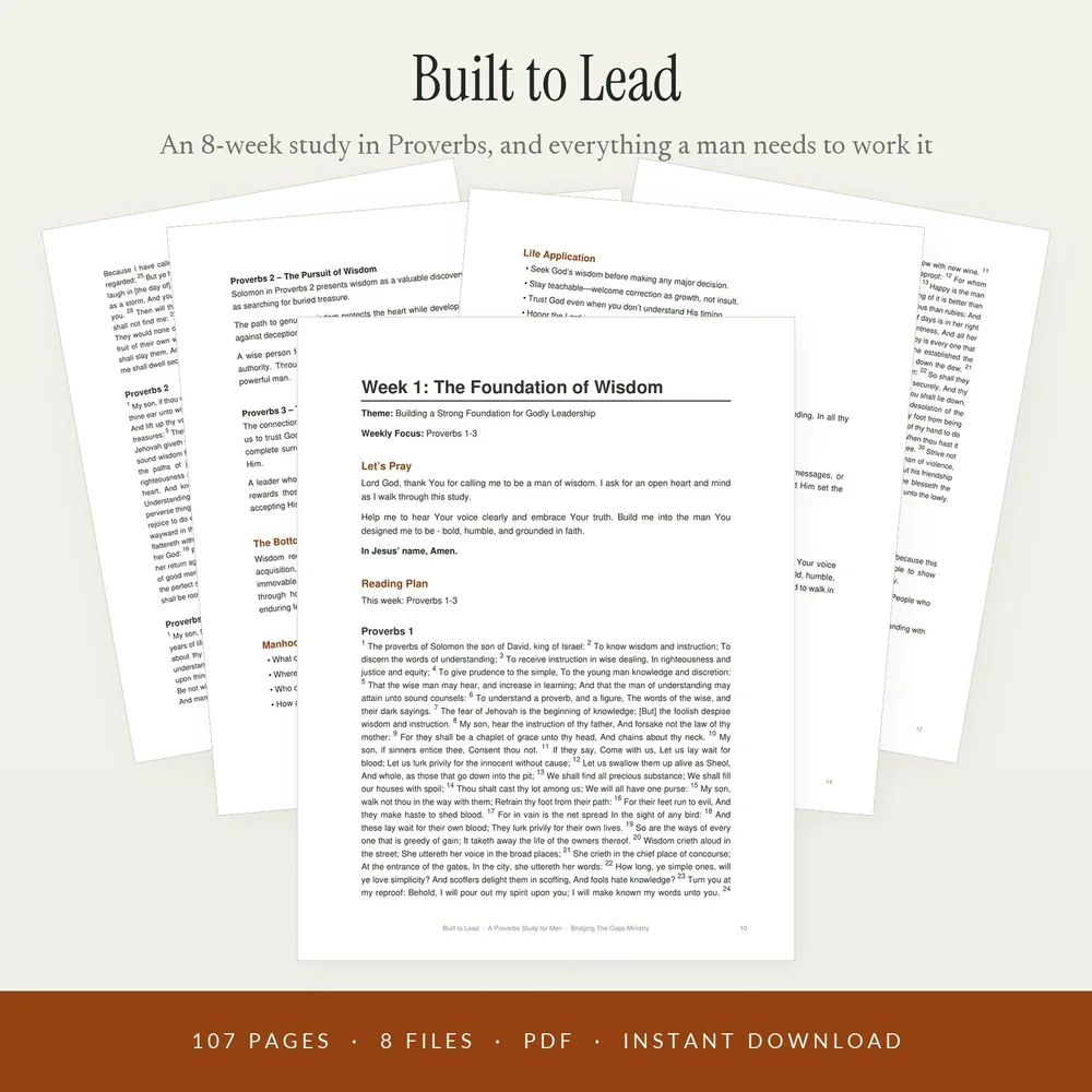 Built to Lead study kit
