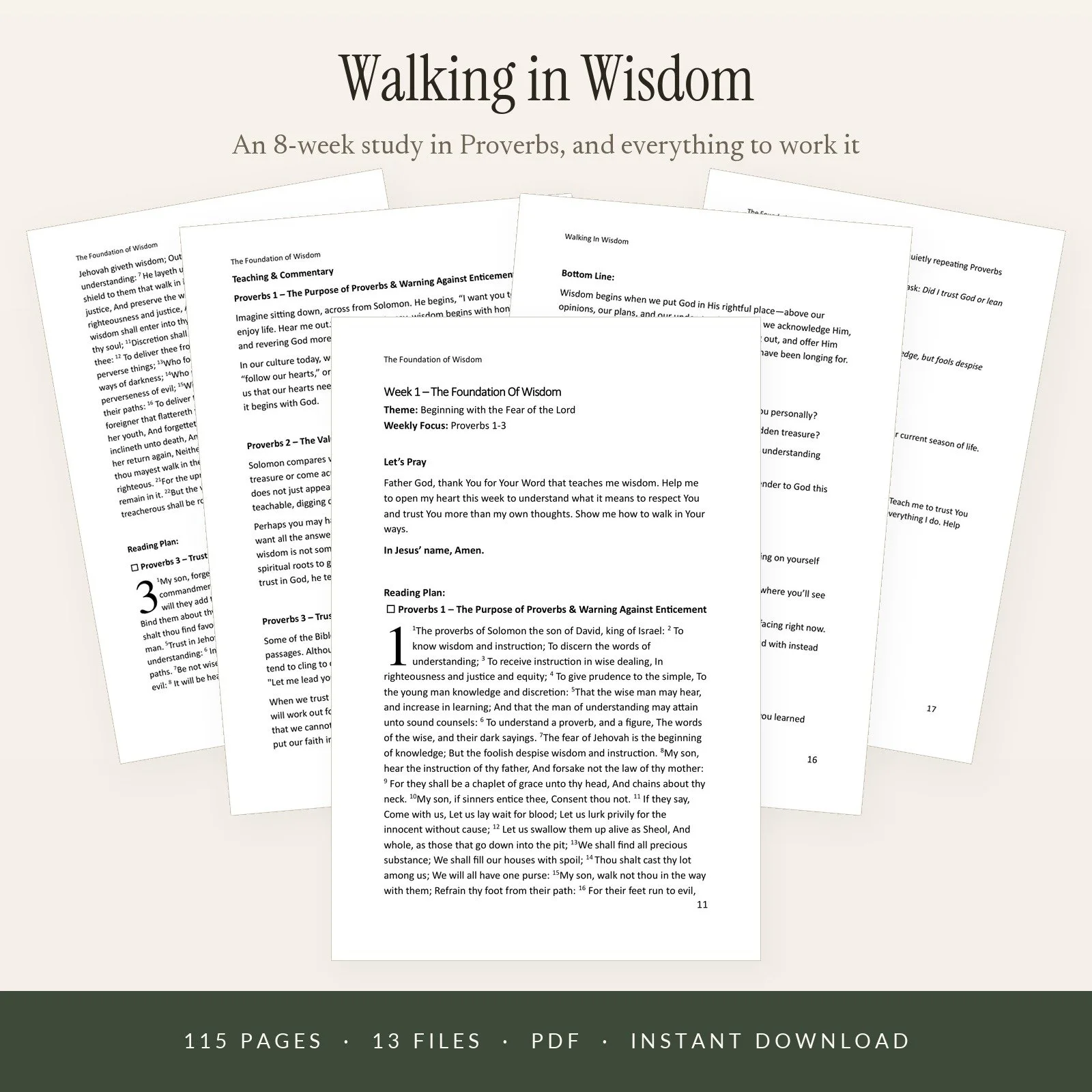 Walking in Wisdom Personal Study Kit
