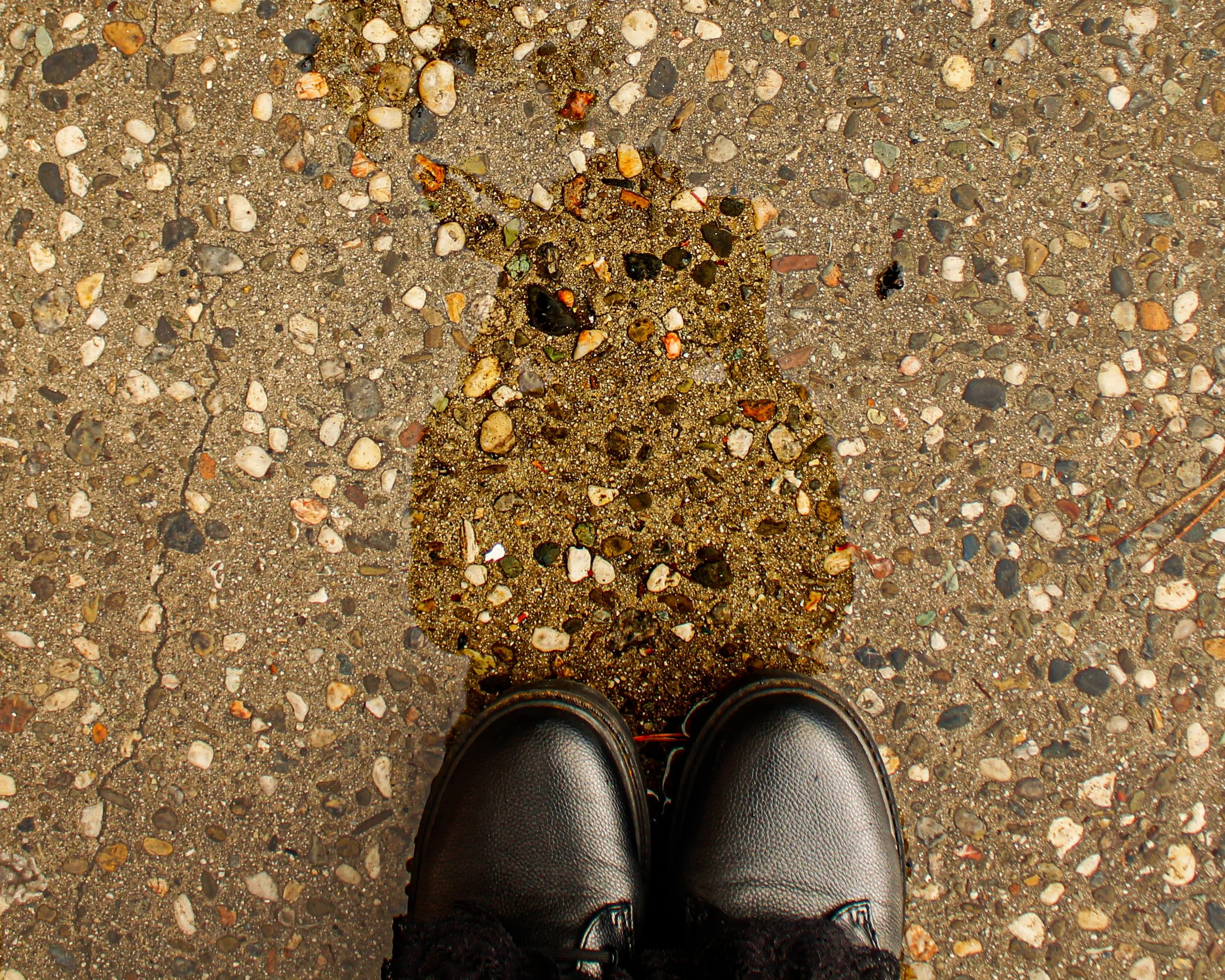 boots in rain with reflection edit 1.jpg