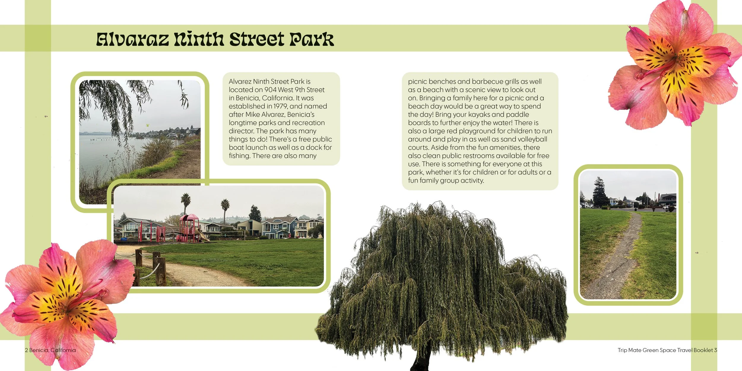 Nouran Badawy |
Green Spaces Booklet |
Indesign |
2025 |
7x7