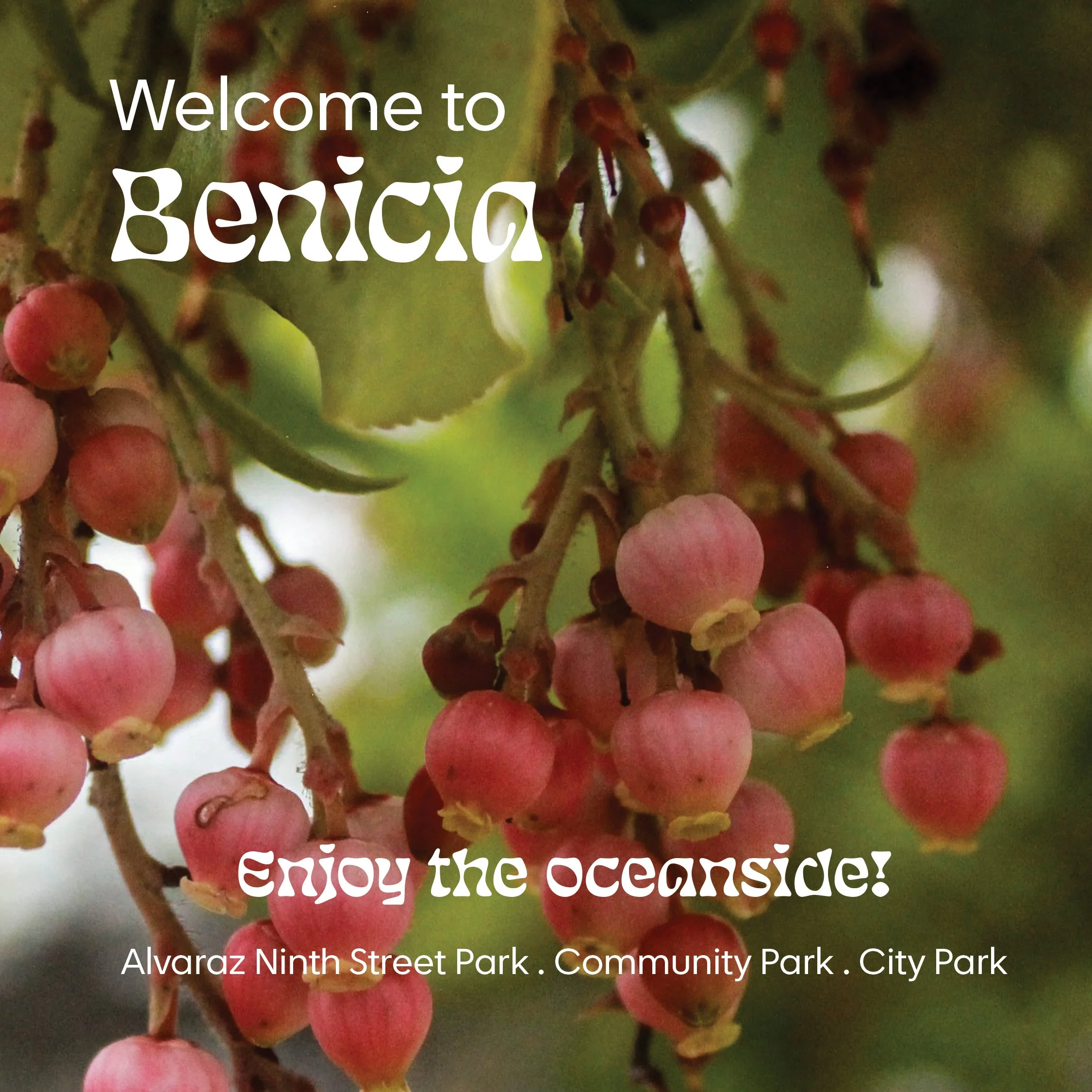 Green Spaces Booklet: Benicia