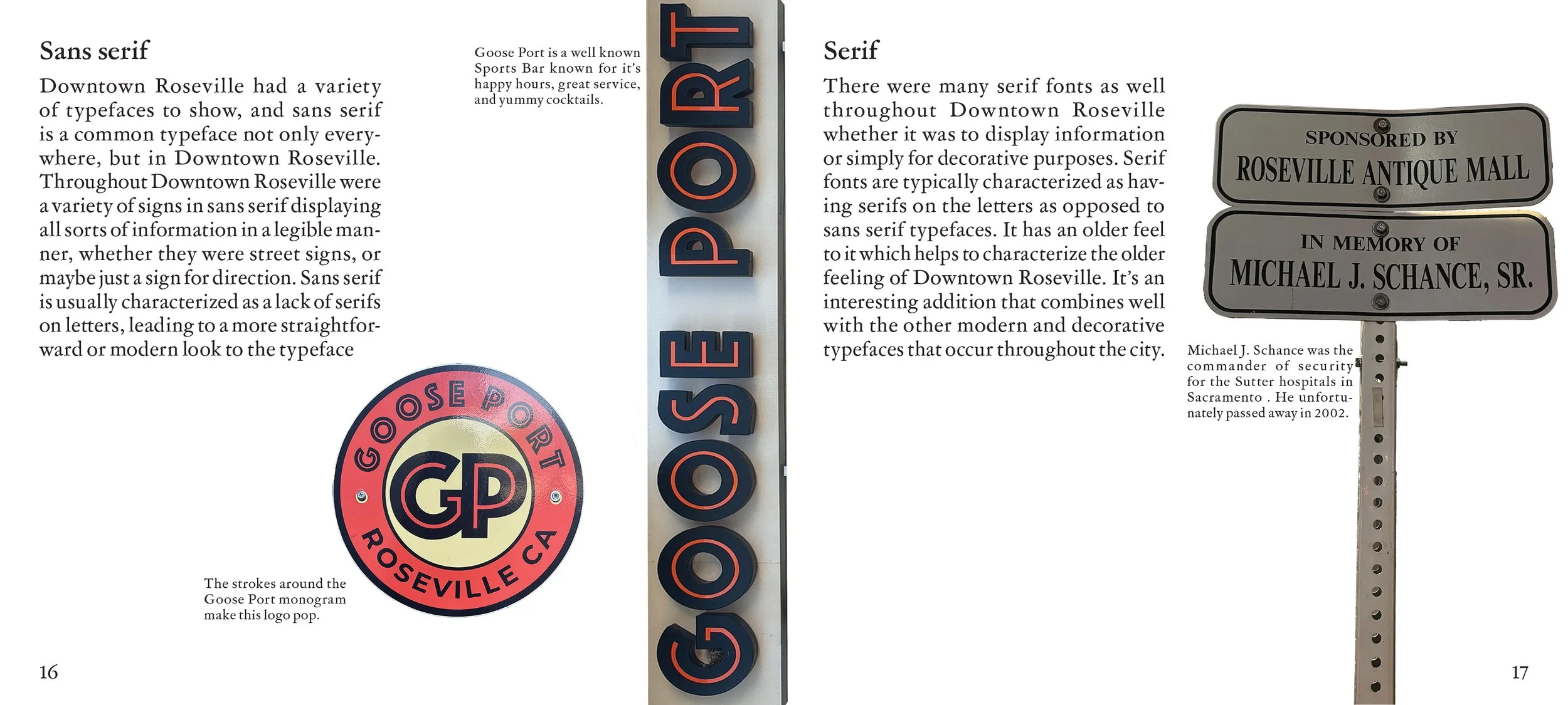 Nouran Badawy |
Vernacular Typography Booket: Vernon Street in Downtown Roseville |
2024 |
InDesign |
5x4.5