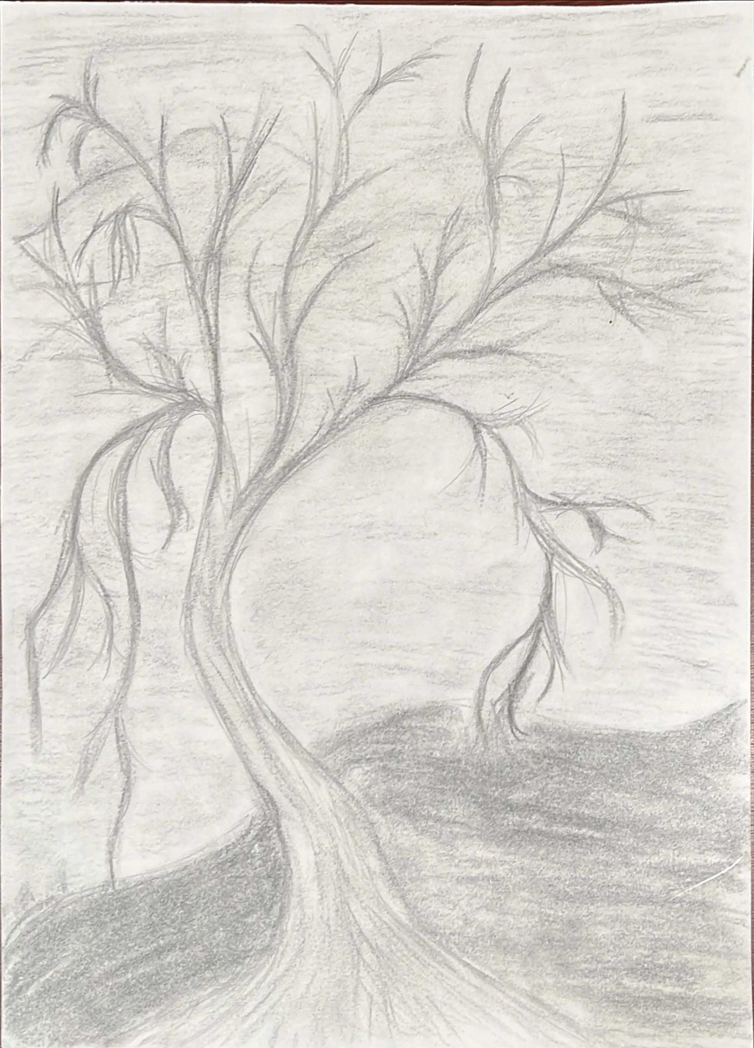 Charcoal Tree