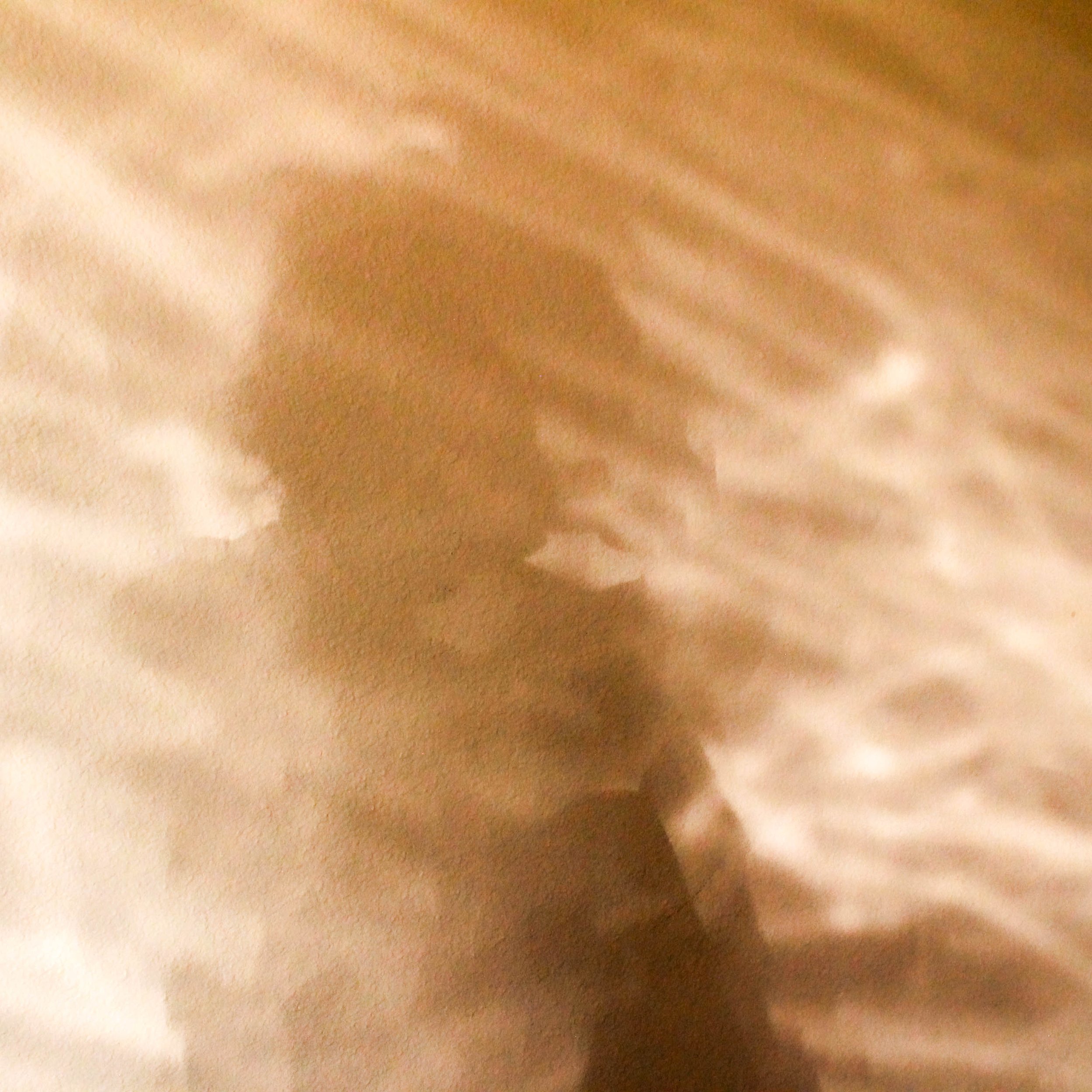 Nouran Badawy | Vinyl Sleeve and CD Booklet Cover Photo | 2026 | Canon T7i 