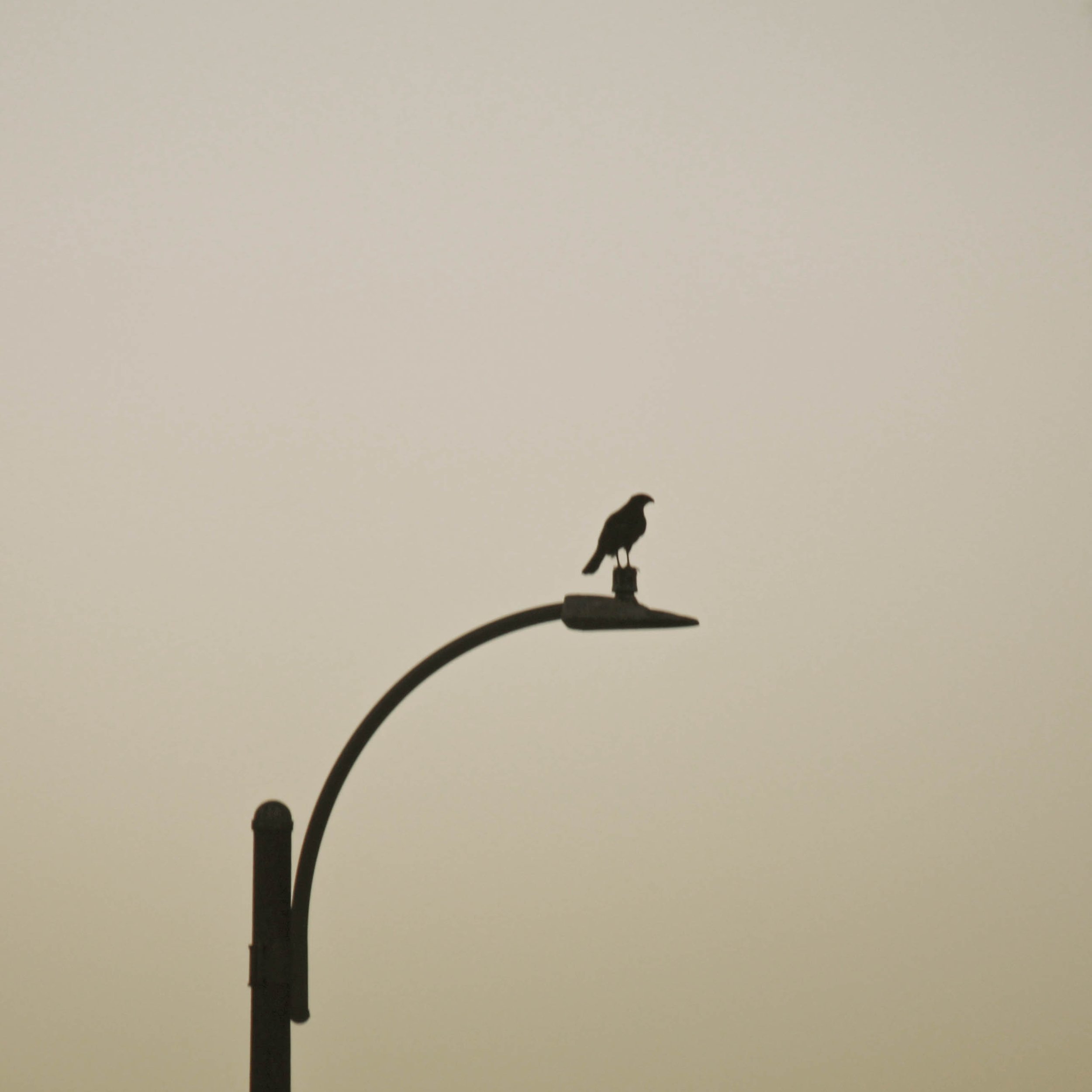 Nouran Badawy | CD Booklet Page 7: Static | 2026 | Canon T7i