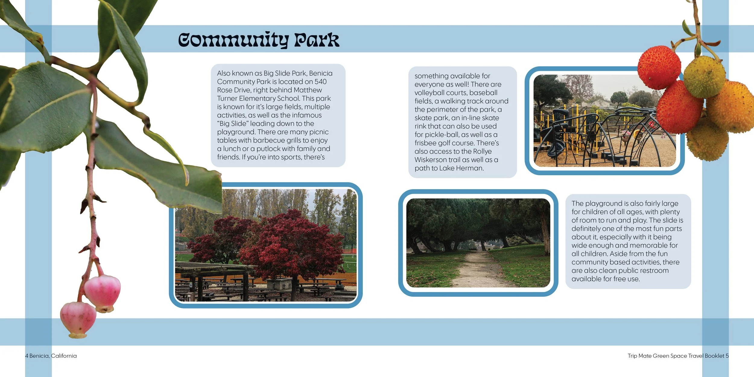Nouran Badawy |
Green Spaces Booklet |
Indesign |
2025 |
7x7