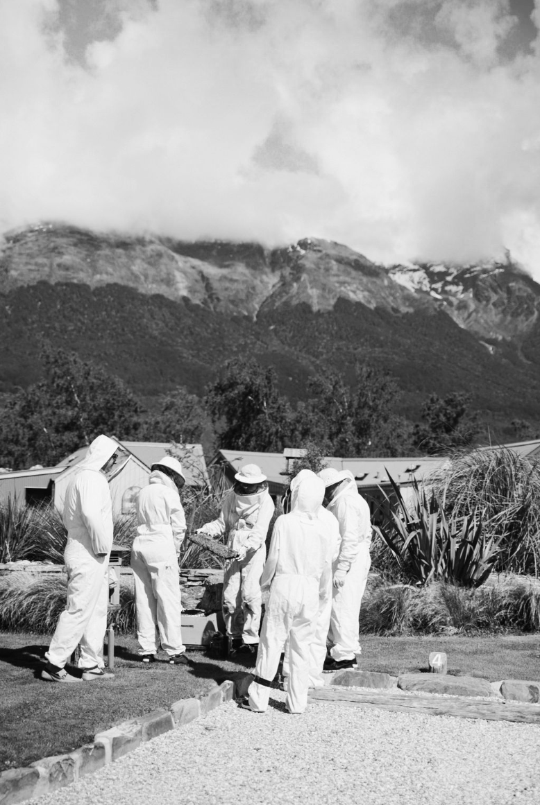 A group of people dressed in white protective suits and hats working together outdoors near a garden with mountains in the background.