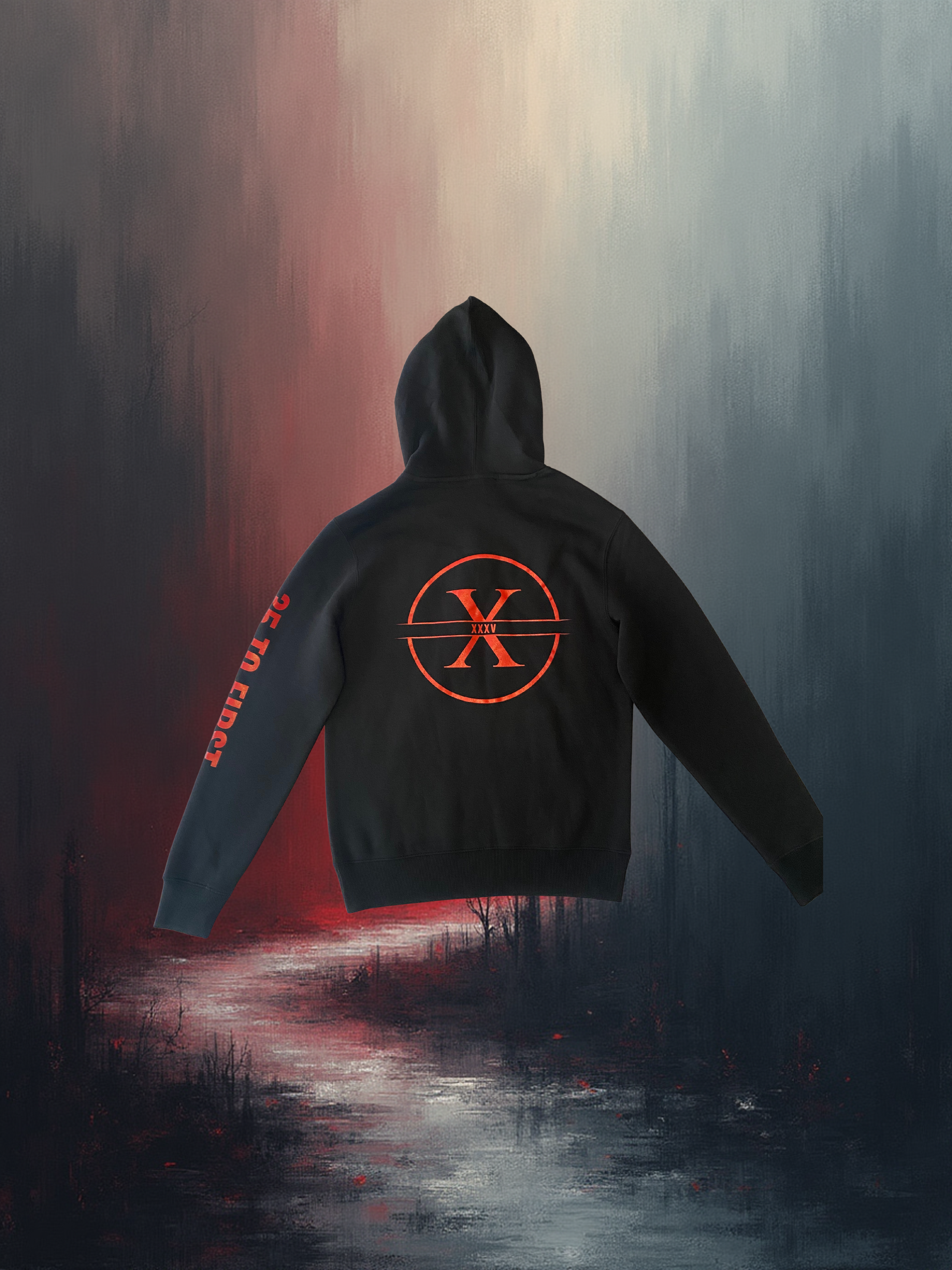 Black Hoodie back DT1101.png