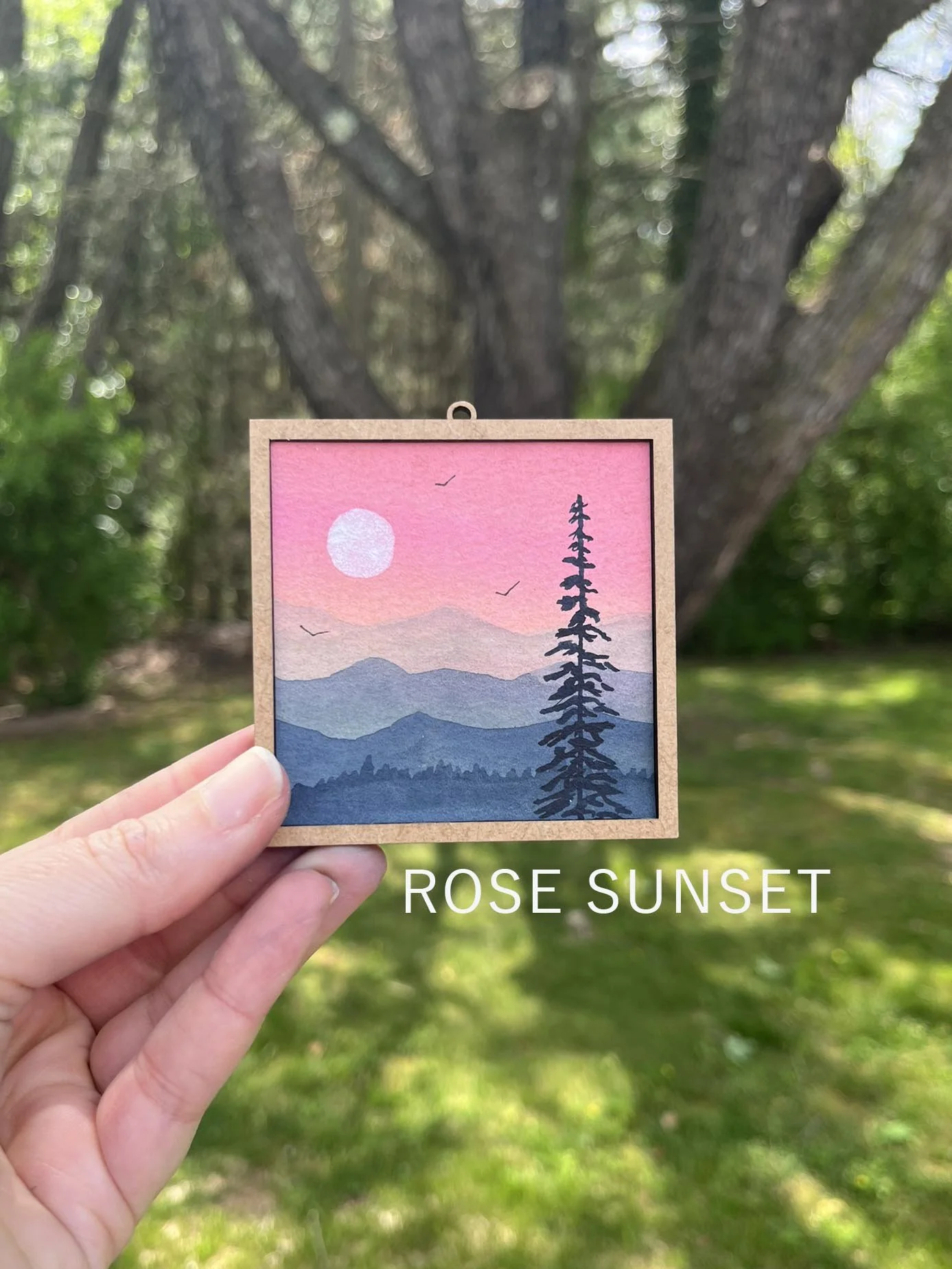 Rose Sunset.jpg