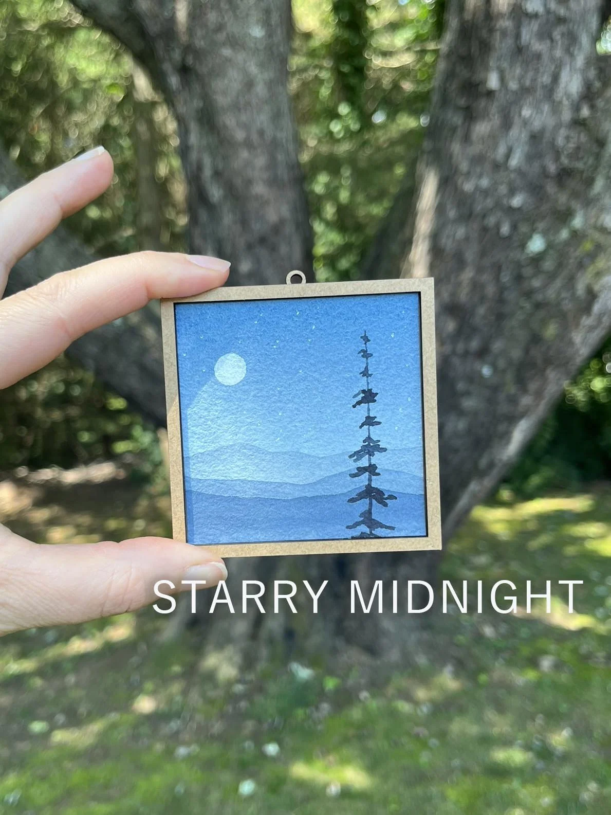 Starry Midnight.jpg