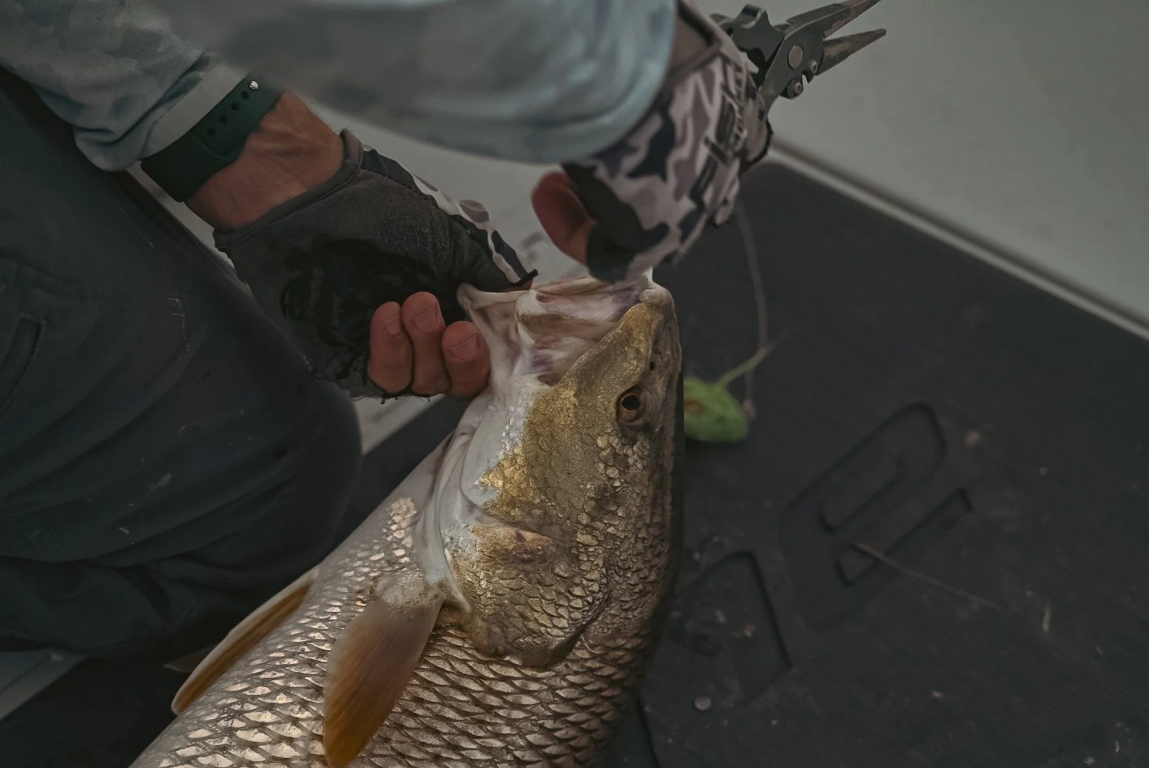 Person wearing black gloves and camouflage-patterned sleeves holding a large fish, possibly a bass, by its mouth with a fishing tool.
