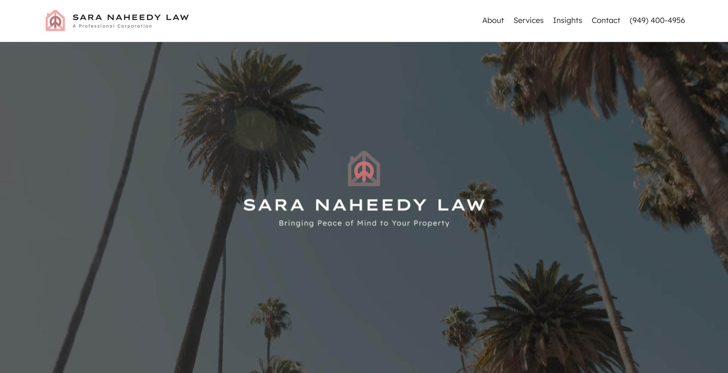 Sara Naheedy Law