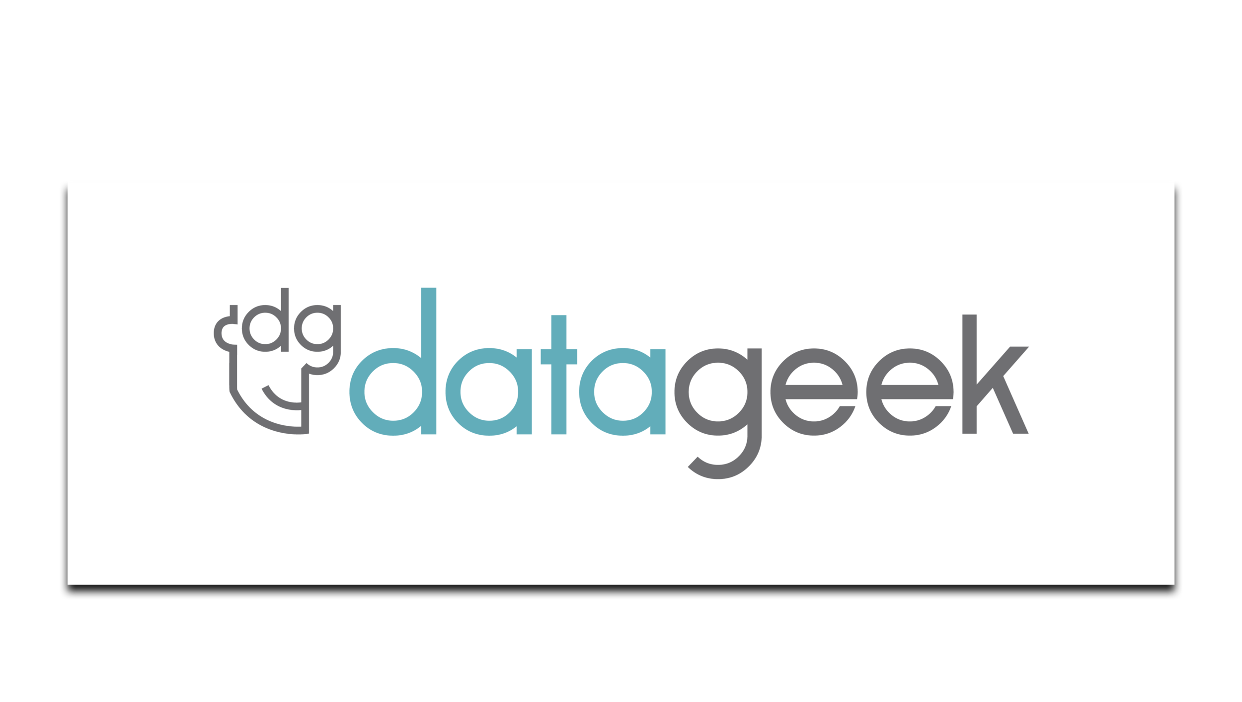 Data-Geek-00.png