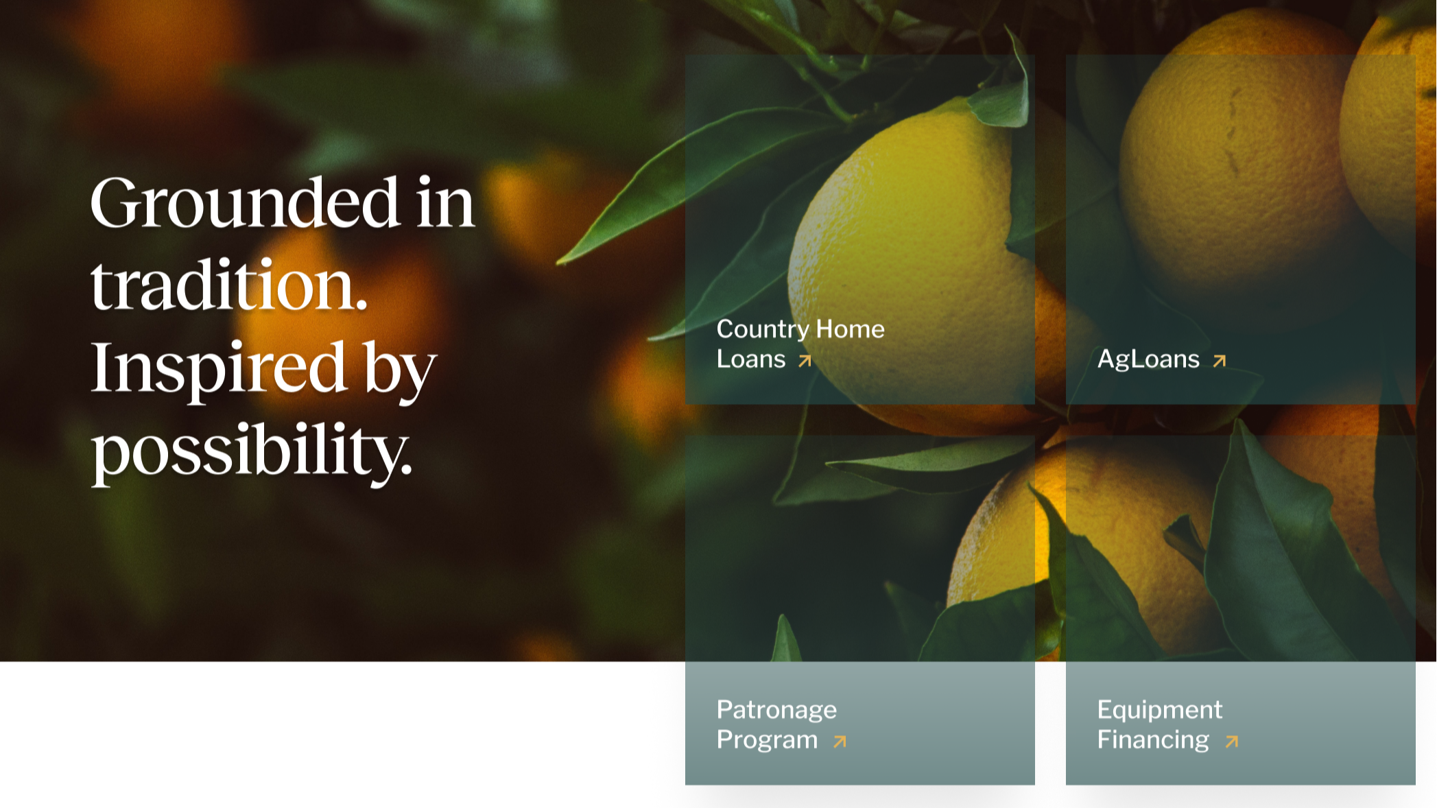 AgWest Farm Credit website homepage with a background of yellow lemons on a tree, overlayed with text and navigation links for different loan programs.