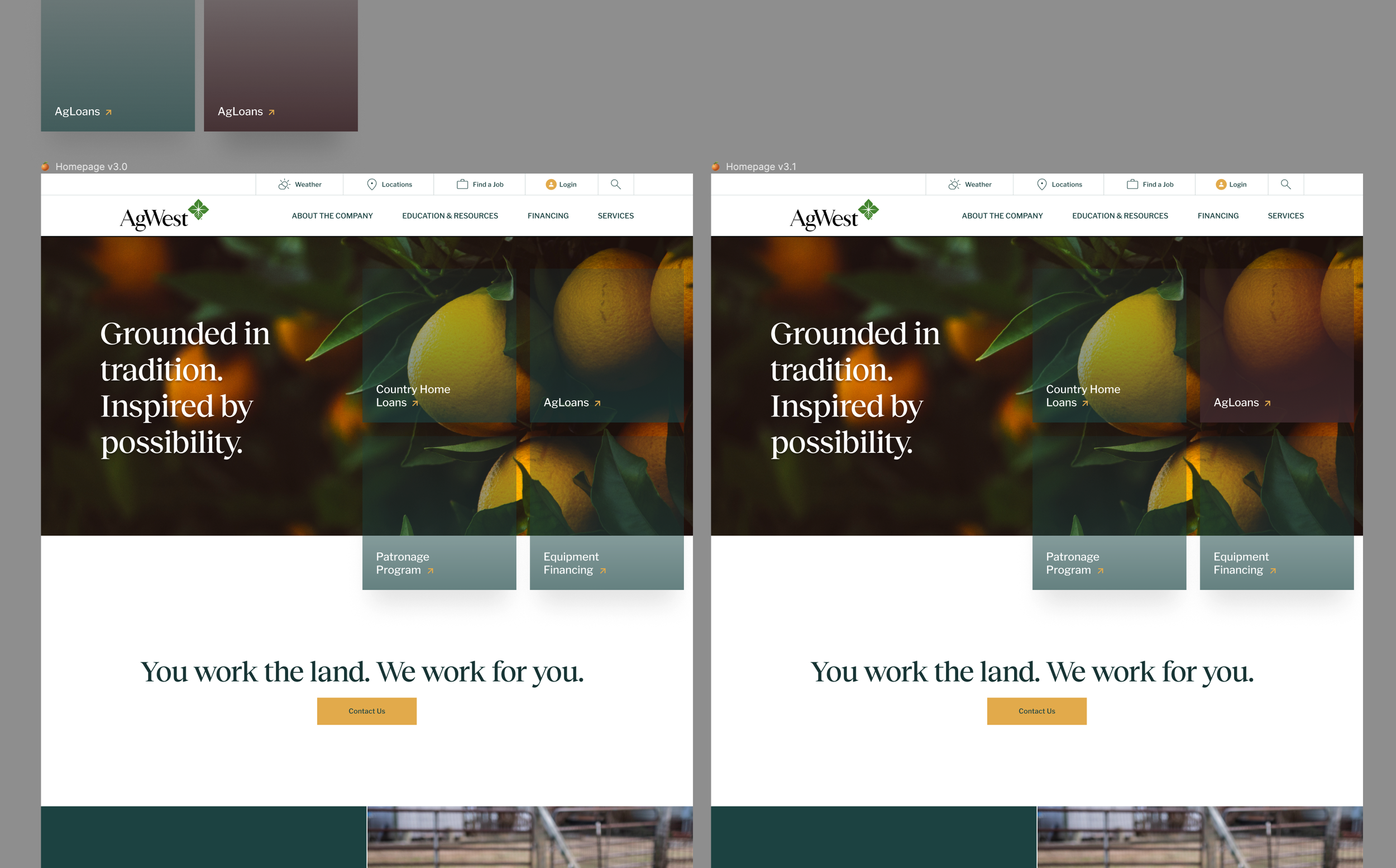 Comparison screenshot of two versions of the AgWest homepage, featuring a background image of orange fruits on a tree with leaves, and text overlay stating 'Grounded in tradition. Inspired by possibility.' with navigation menus and sections for loans and financing.