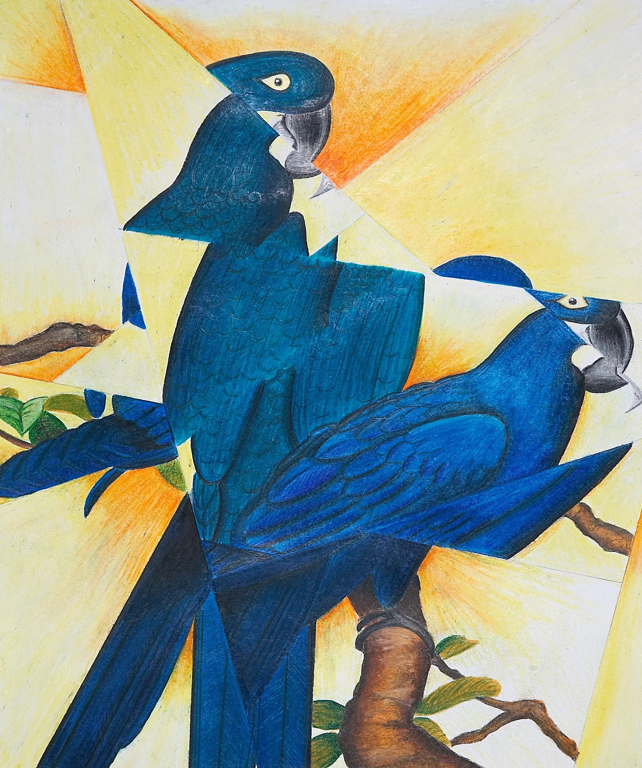Hand-drawn with colored pencils
