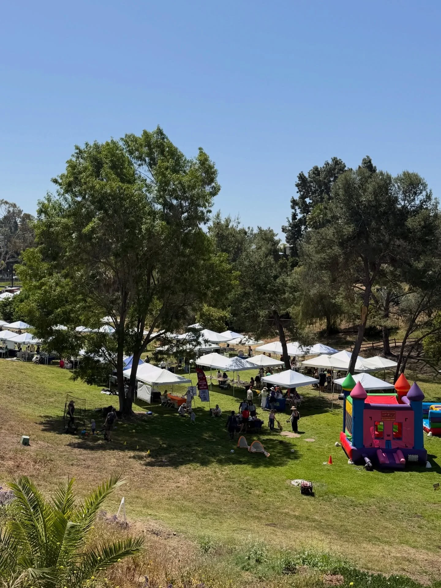 HAPPENING NOW! It&rsquo;s a beautiful day in La Mesa - don&rsquo;t forget the Earth Day Fair is happening today from 11am-3pm at MacArthur Park. Head on down for the fun and festivities 🌎🌳🌸☀️