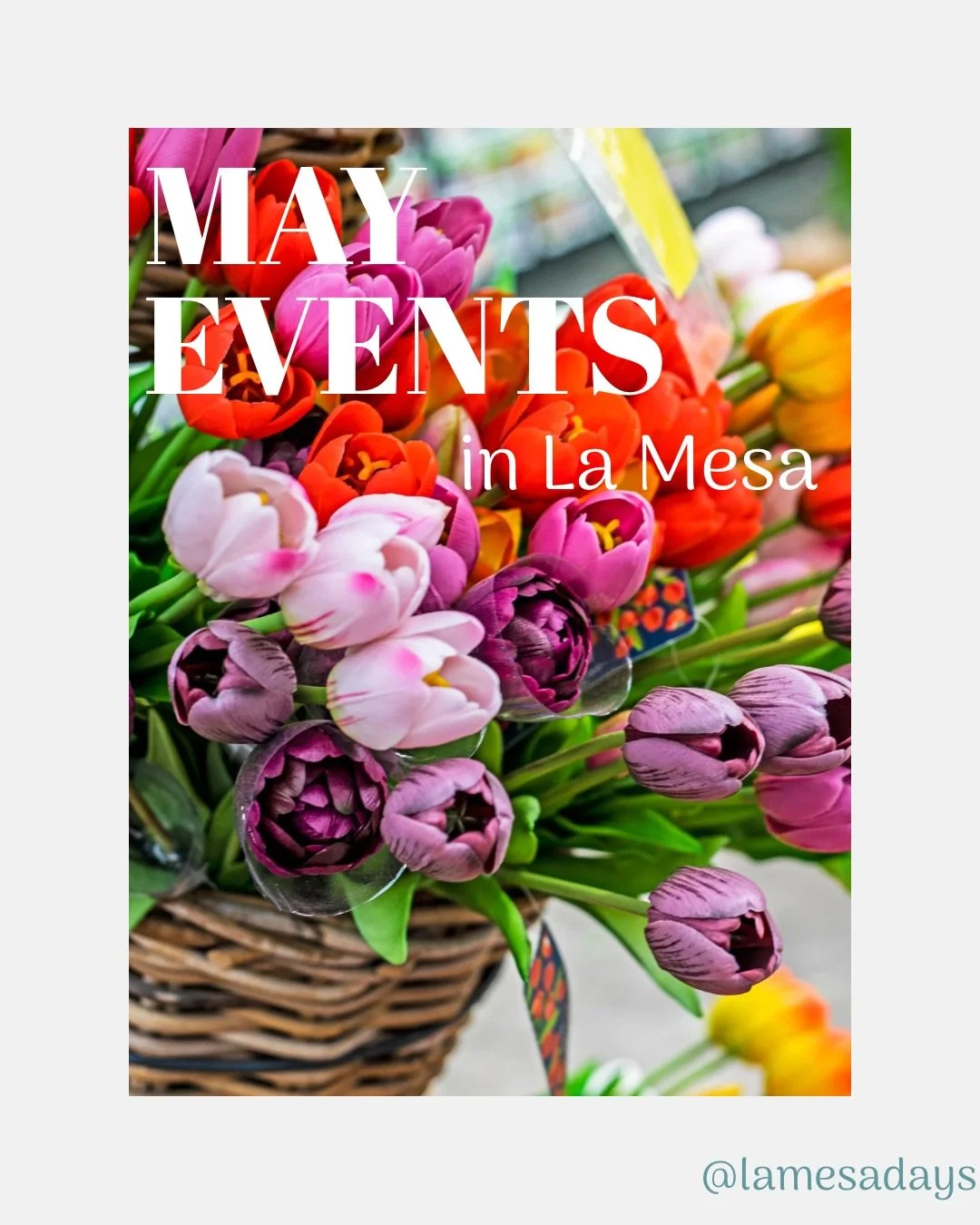 May is bringing all the good vibes to La Mesa🌸 From community events to fun ways to get out and explore, there&rsquo;s plenty happening around town this month. Grab a friend, get outside, and make the most of it!