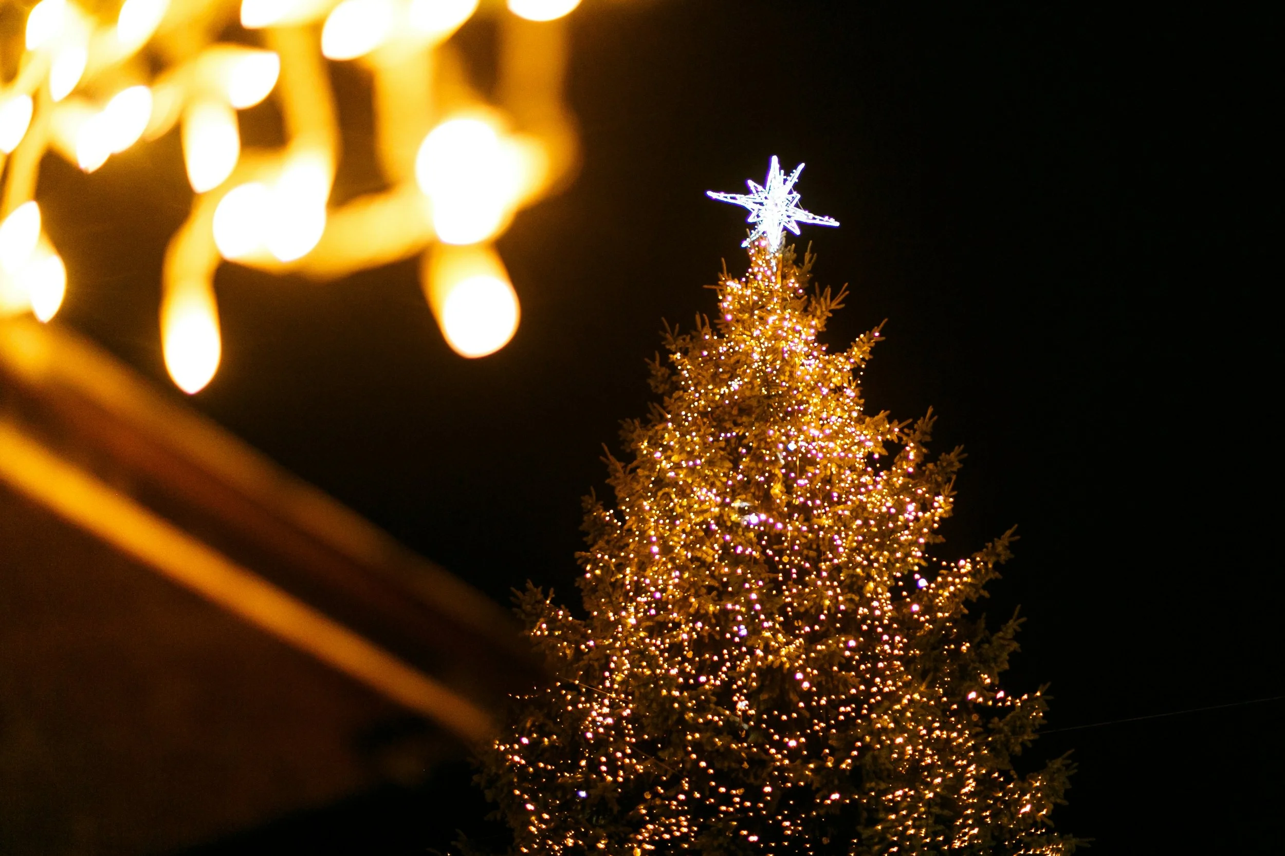 Where to See Christmas Lights in La Mesa